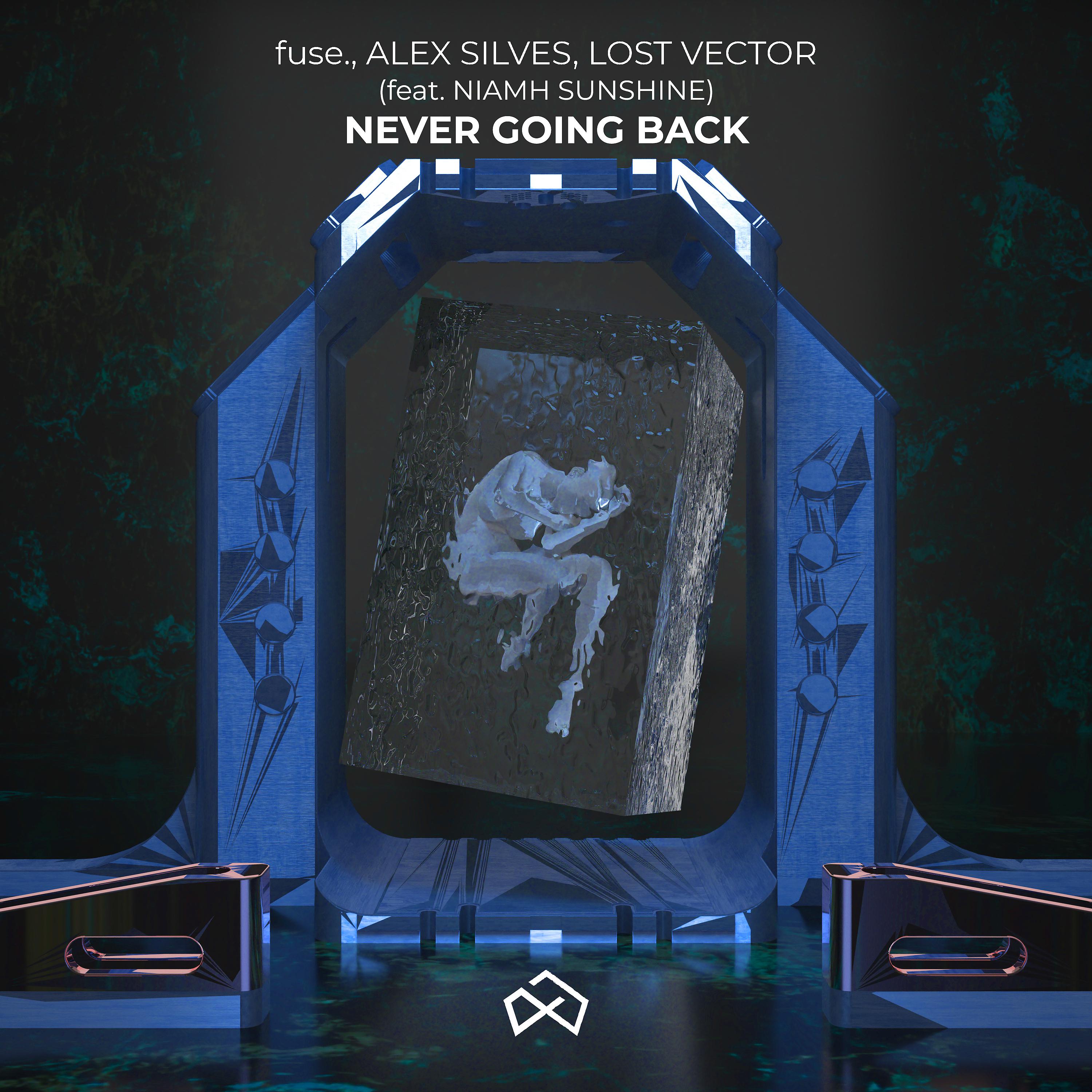 Постер альбома Never Going Back
