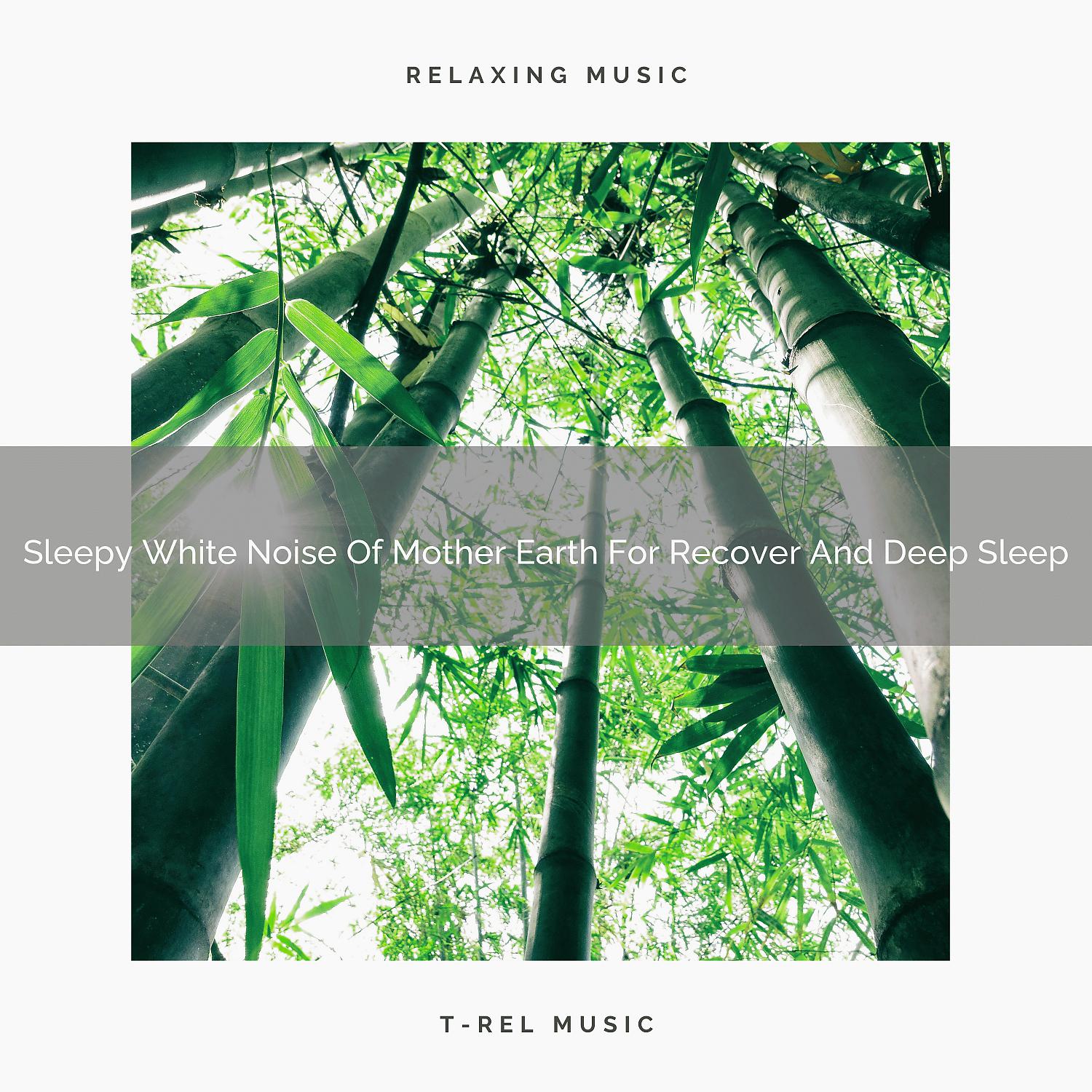 Постер альбома 2020 Best: Sleepy White Noise Of Mother Earth For Recover And Deep Sleep