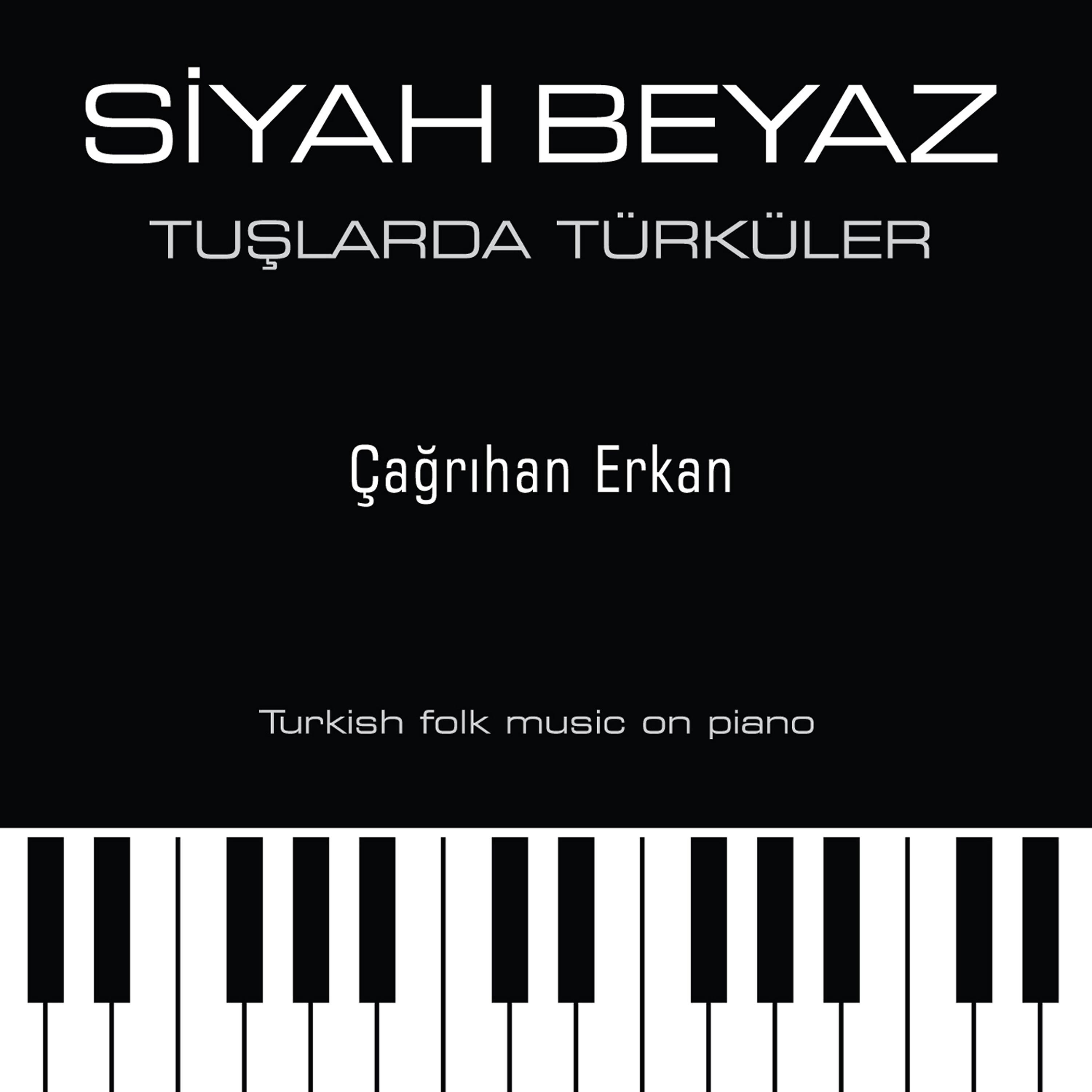 Постер альбома Siyah Beyaz Tuşlarda Türküler