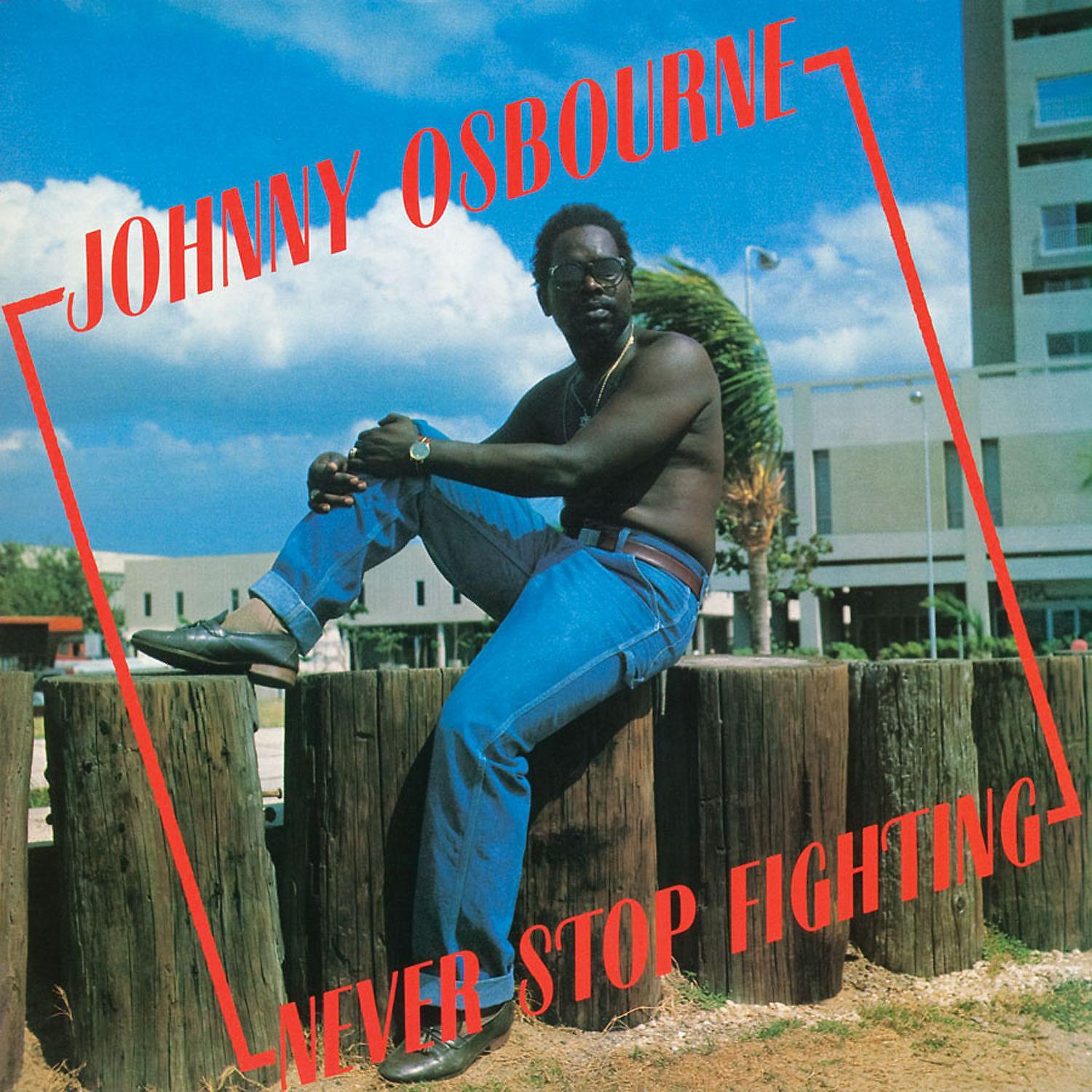 Постер альбома Never Stop Fighting