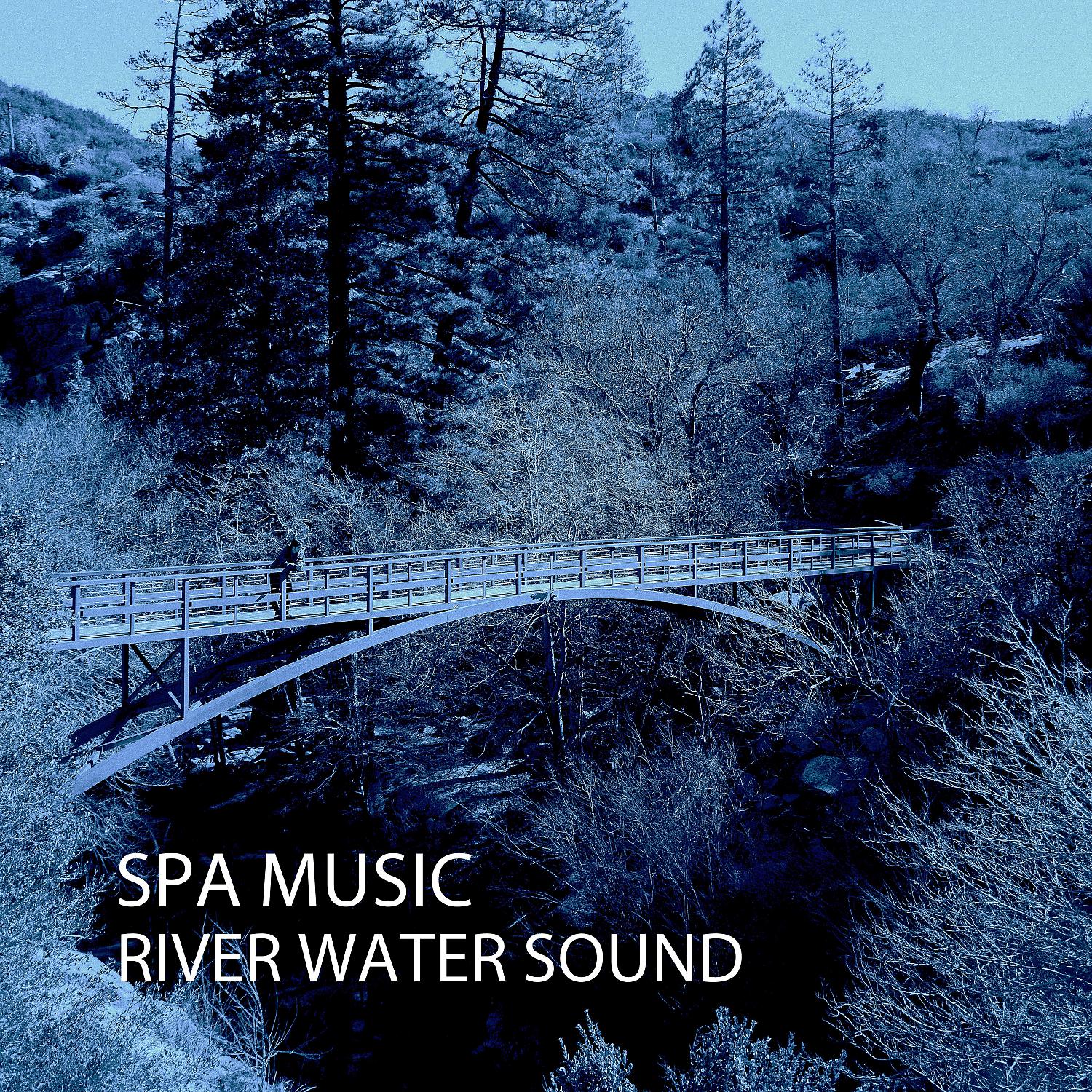 Постер альбома Spa Music: River Water Sound
