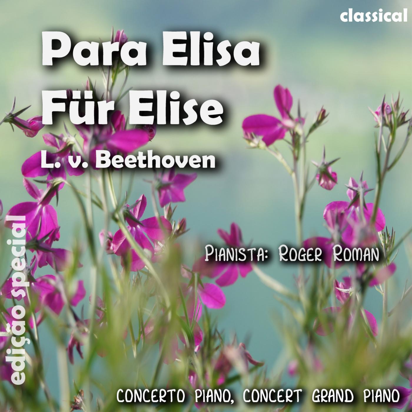 Постер альбома Para Elisa (feat. Roger Roman)