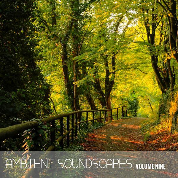 Постер альбома Ambient SoundScapes, Vol. 9