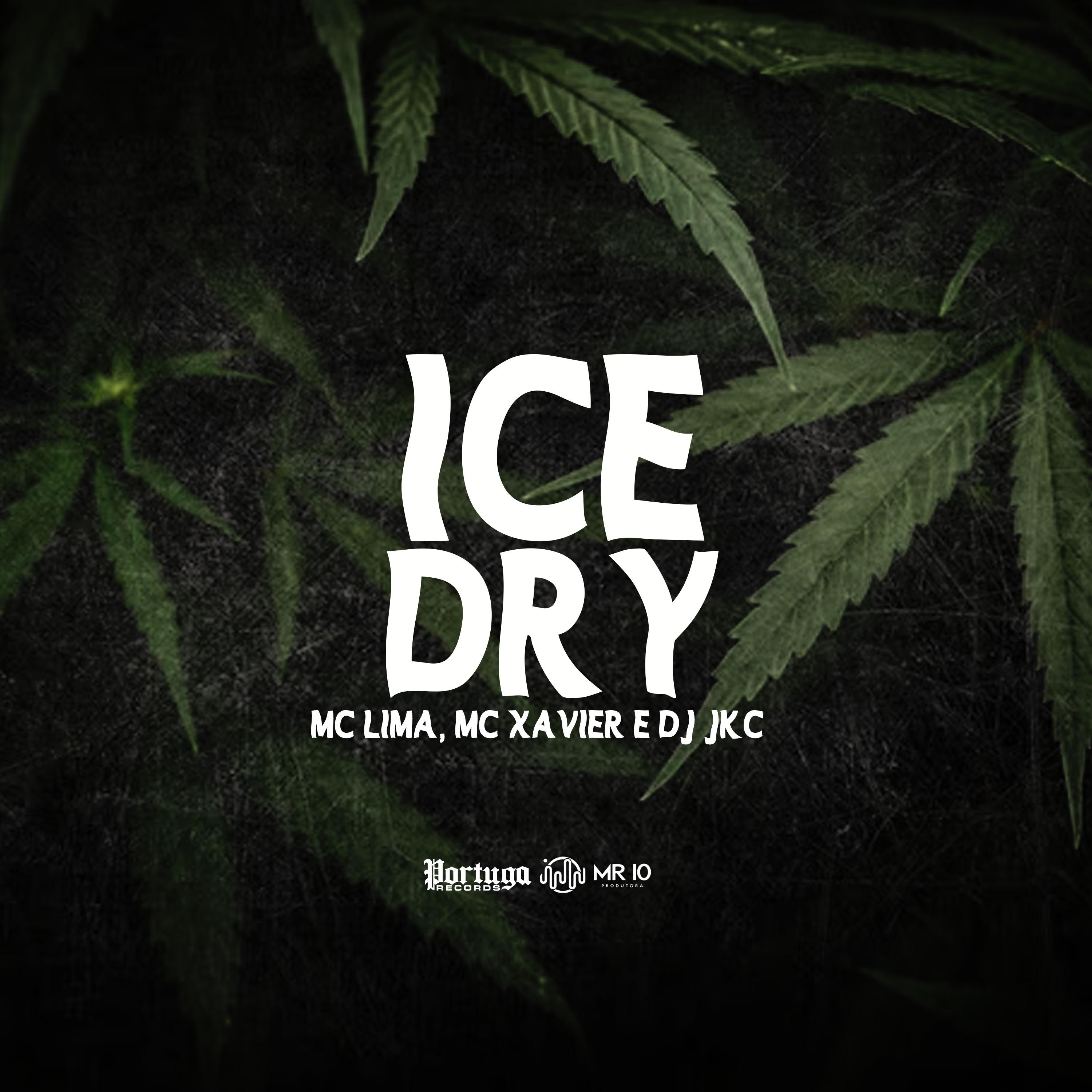 Постер альбома Ice Dry