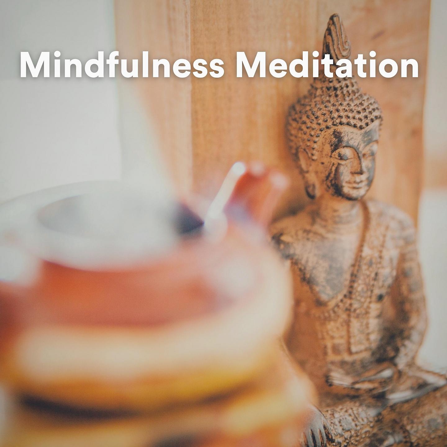 Постер альбома Mindfulness Meditation