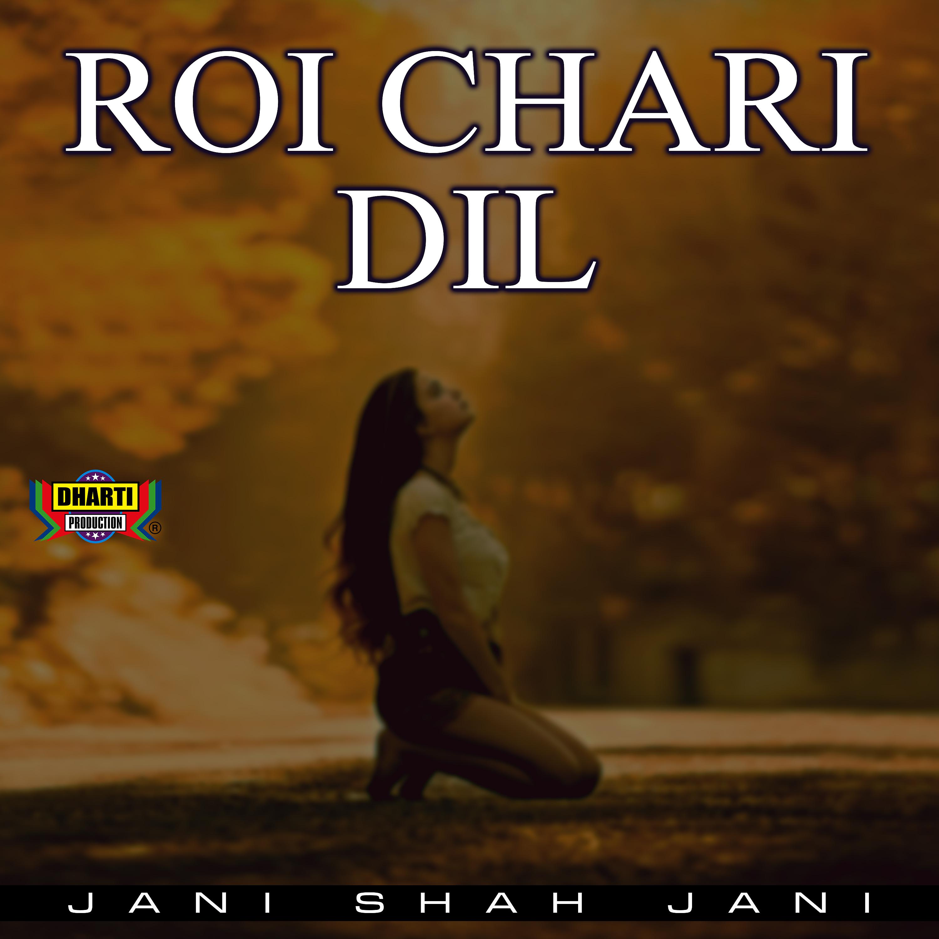Постер альбома Roi Chari Dil