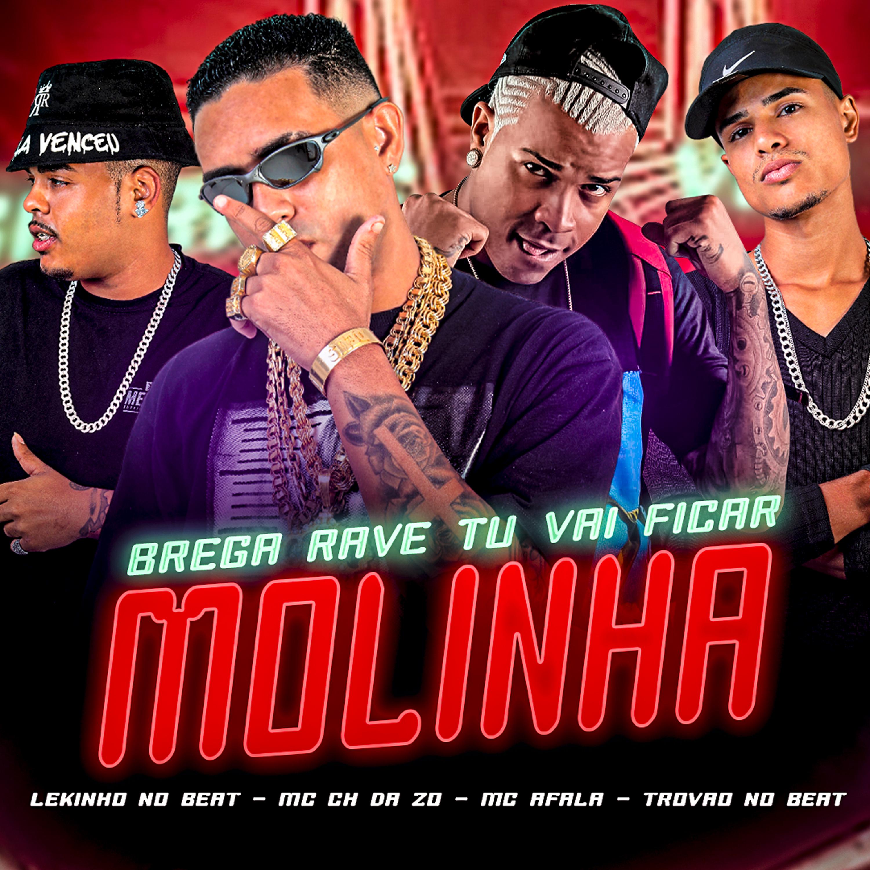 Постер альбома Brega Rave Tu Vai Ficar Molinha