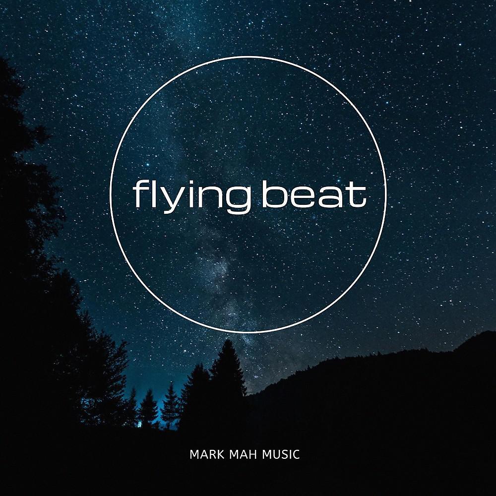 Постер альбома Flying Beat