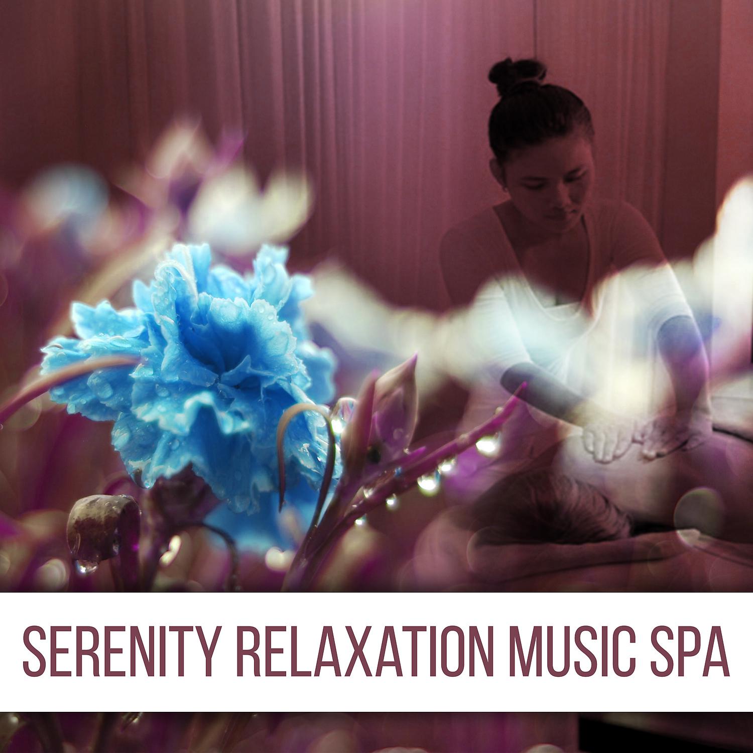 Постер альбома Serenity Relaxation Music Spa - Pure Luxury Spa, Green Touch, Beauty Body