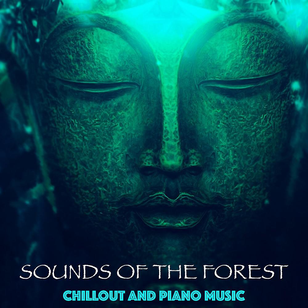 Постер альбома Buddha Bar - Piano Music and Sounds of the Forest (Relaxation, Sleep, Yoga, Meditation, Harmony, Chill, Z)