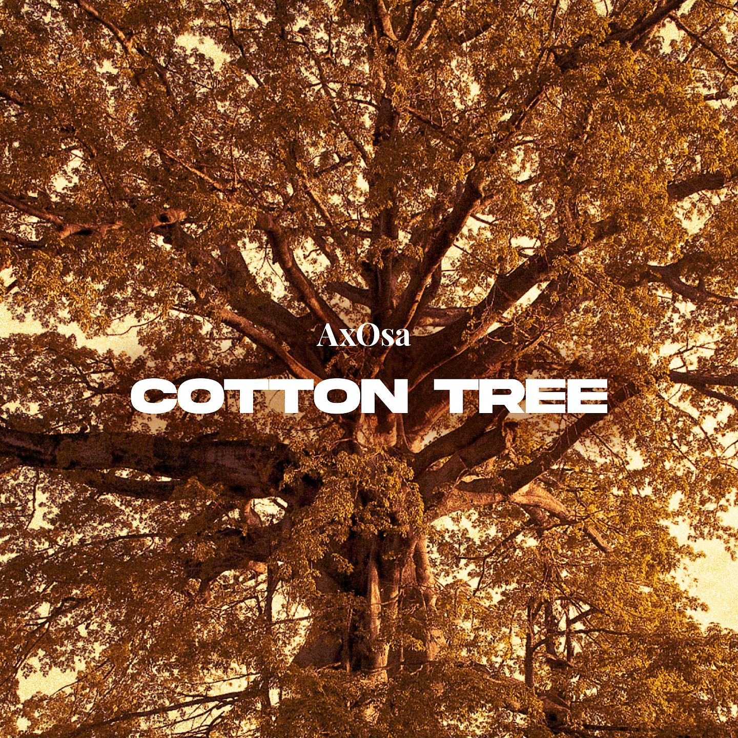 Постер альбома Cotton Tree