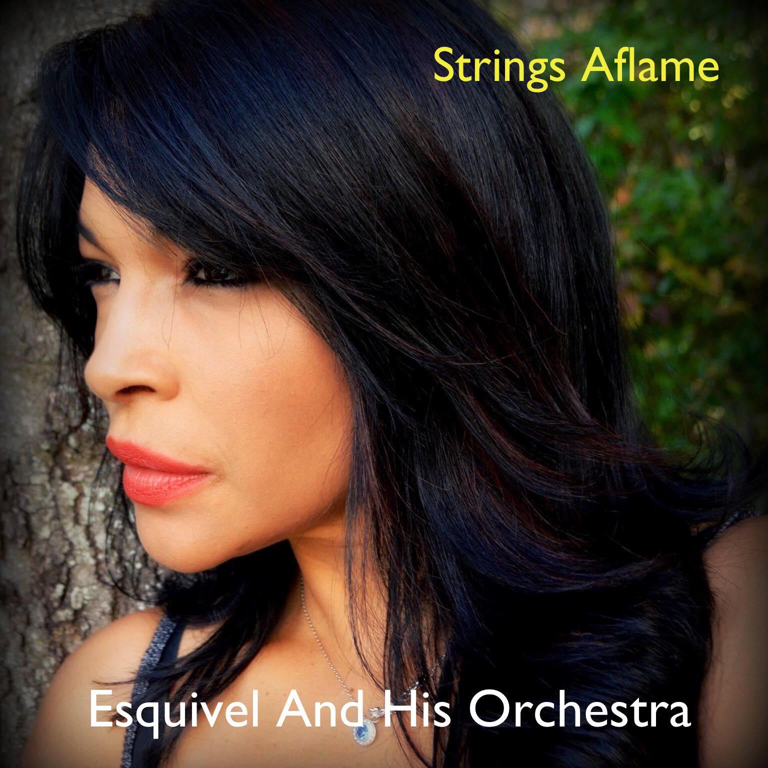 Постер альбома Strings Aflame
