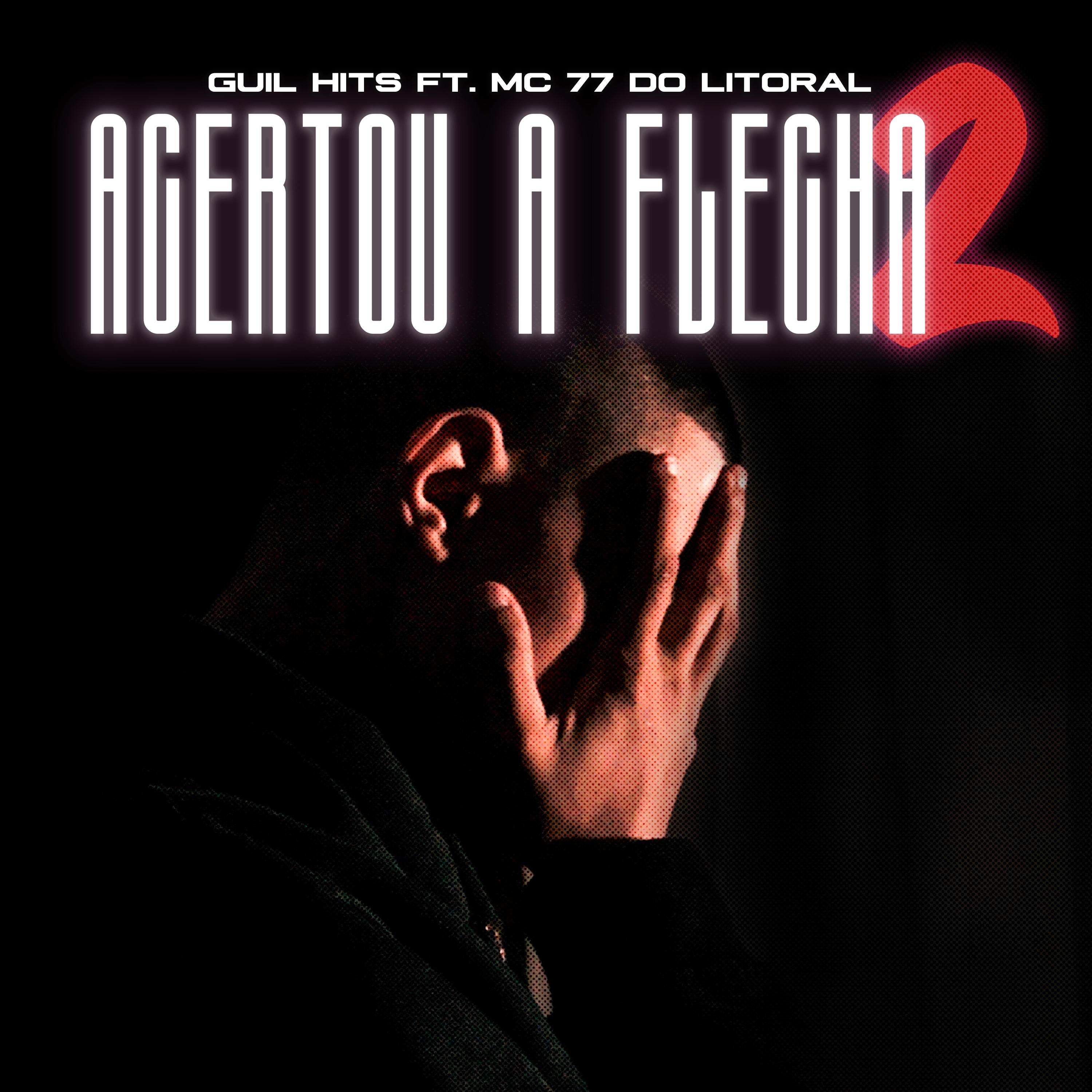 Постер альбома Acertou a Flecha 2
