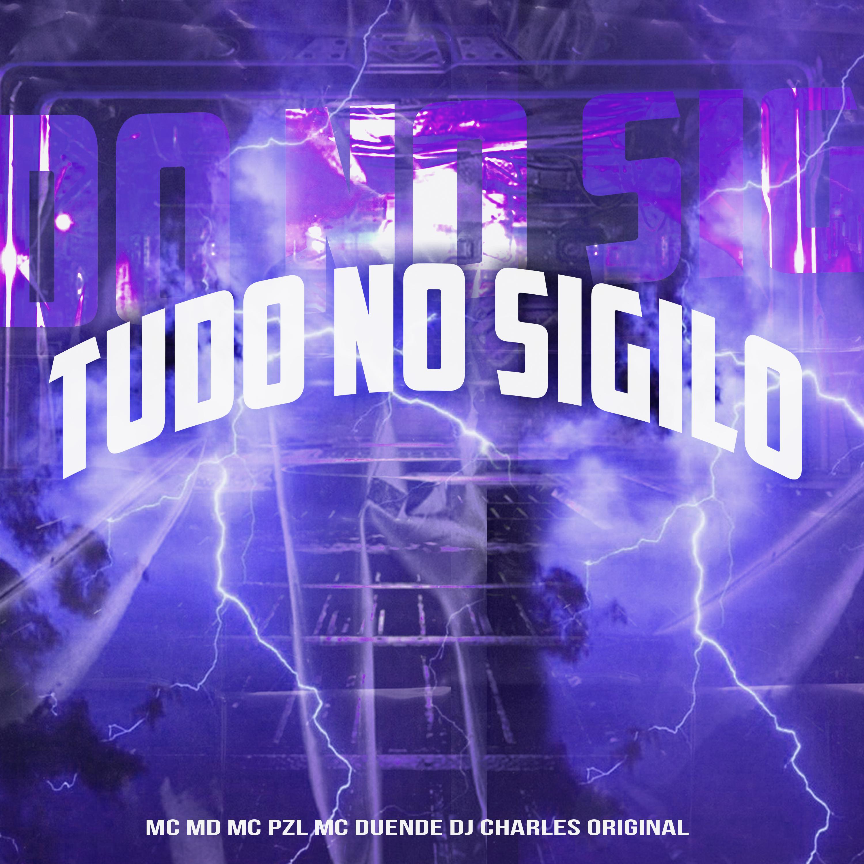 Постер альбома Tudo no Sigilo