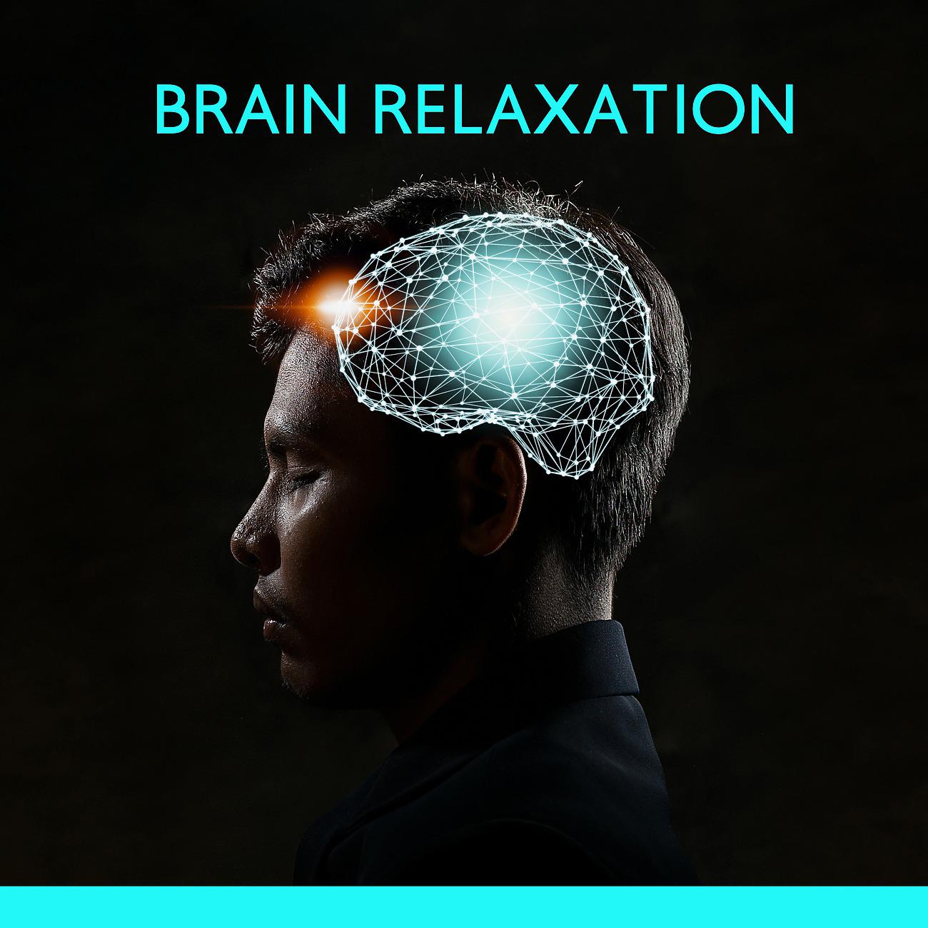 Постер альбома Brain Relaxation