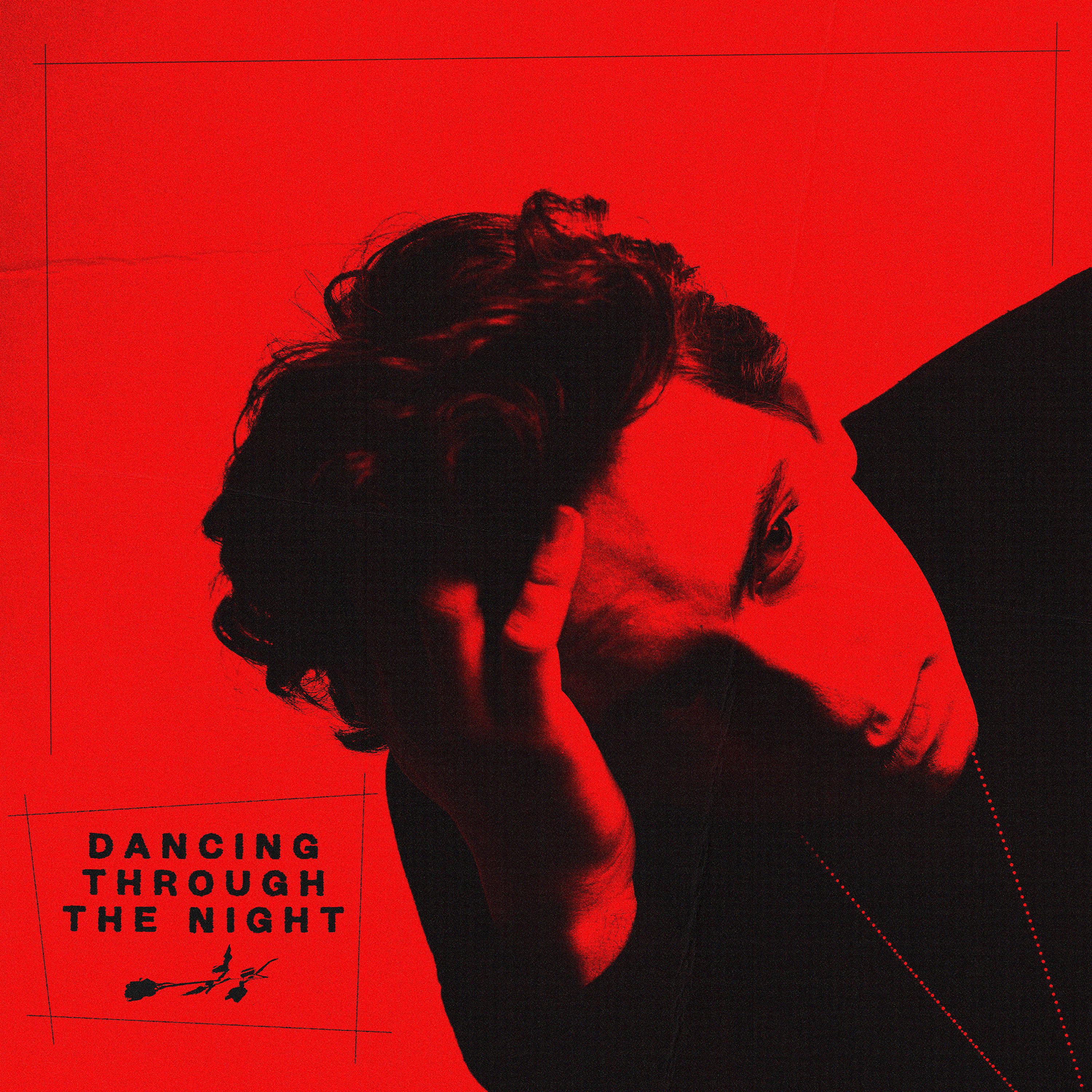 Постер альбома Dancing Through the Night