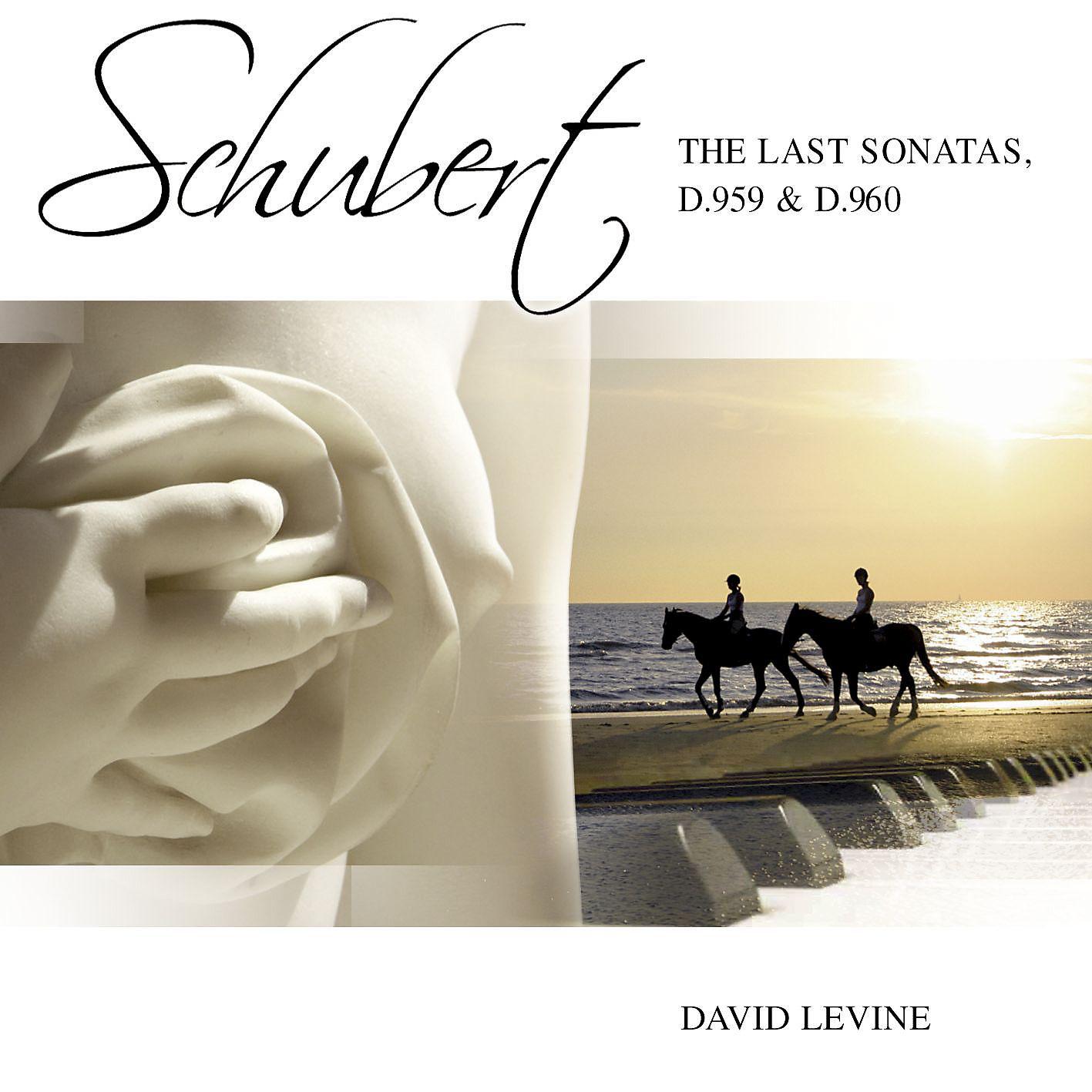 Постер альбома Schubert Sonatas D959 D960