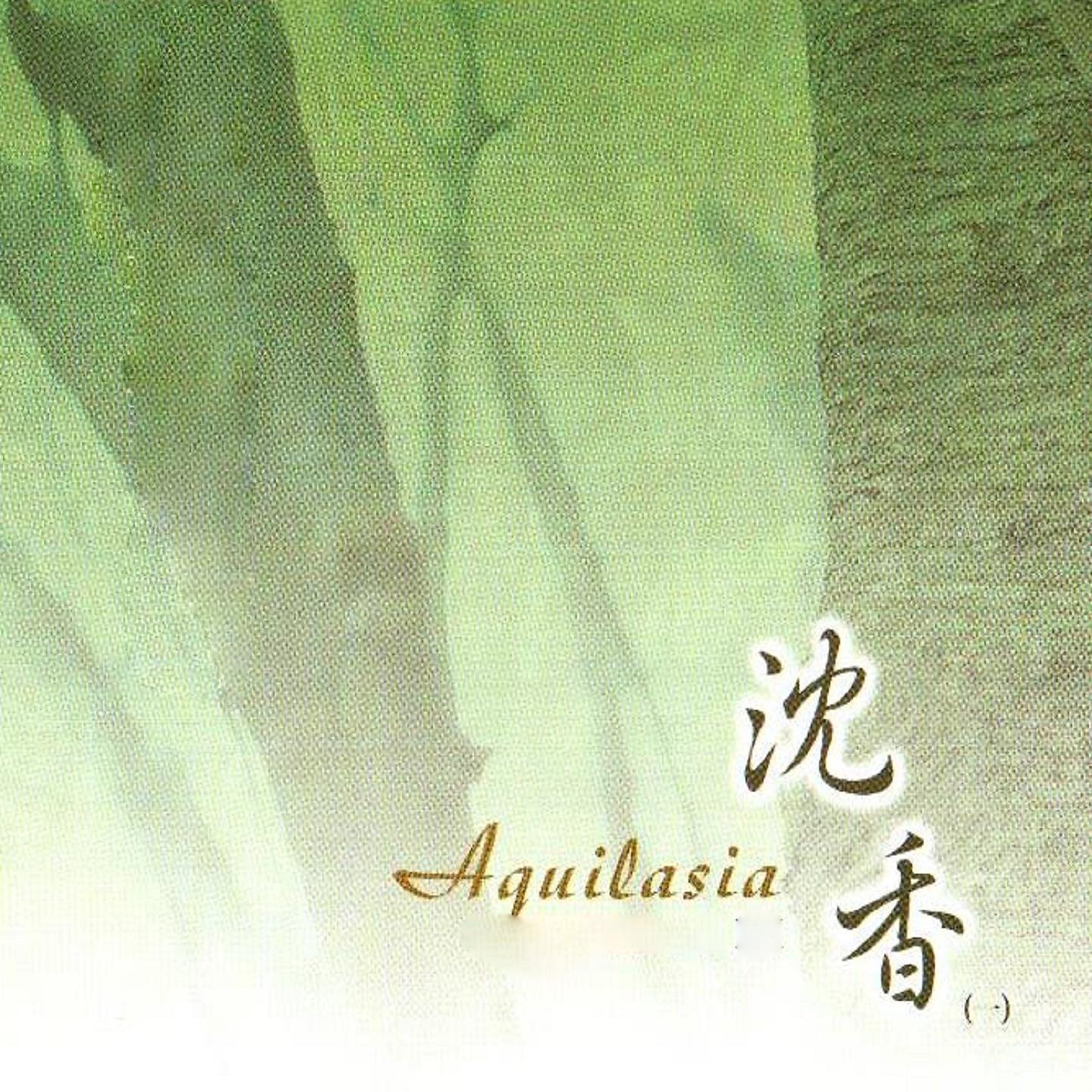 Постер альбома 沉香(一)