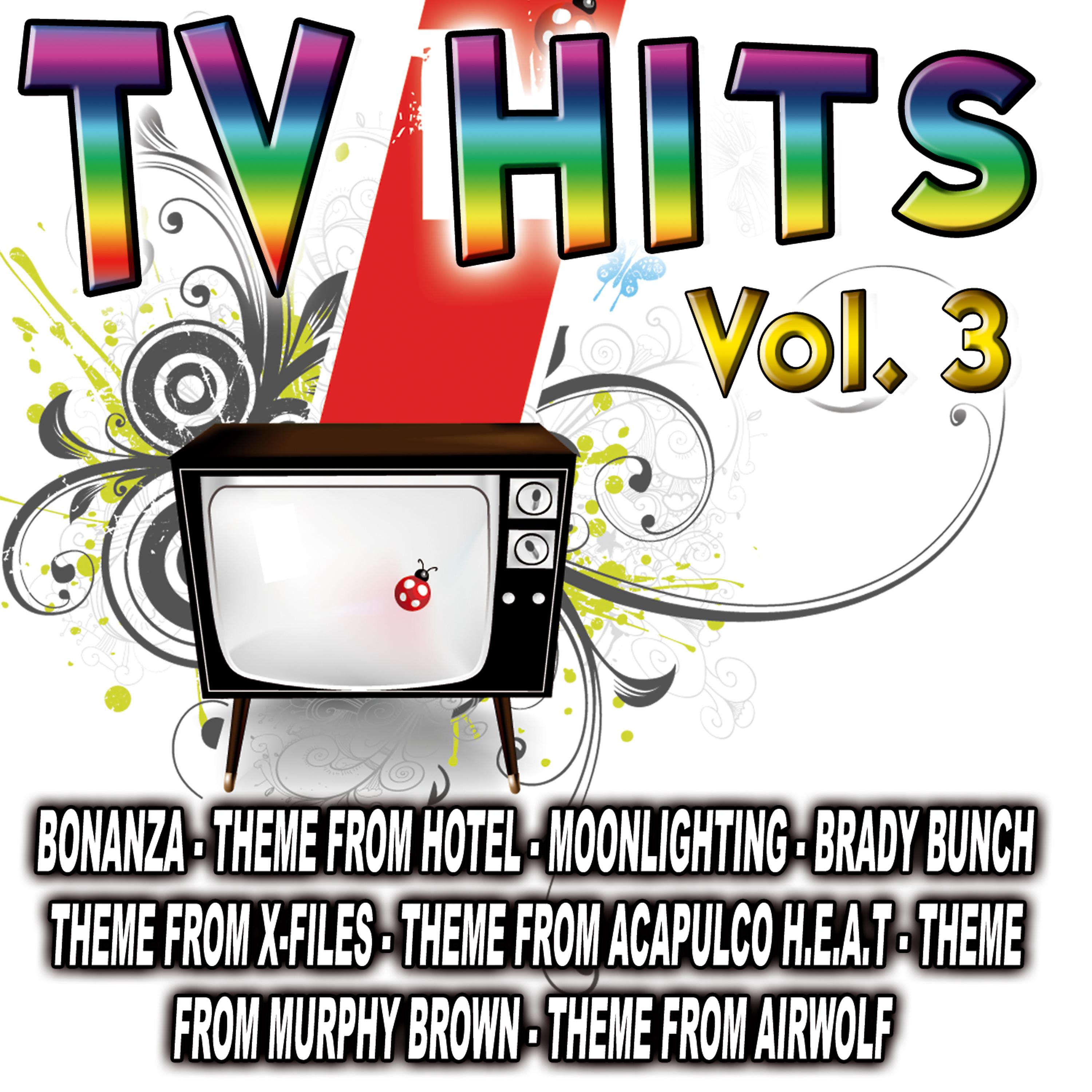 Постер альбома TV Hits Vol. 3