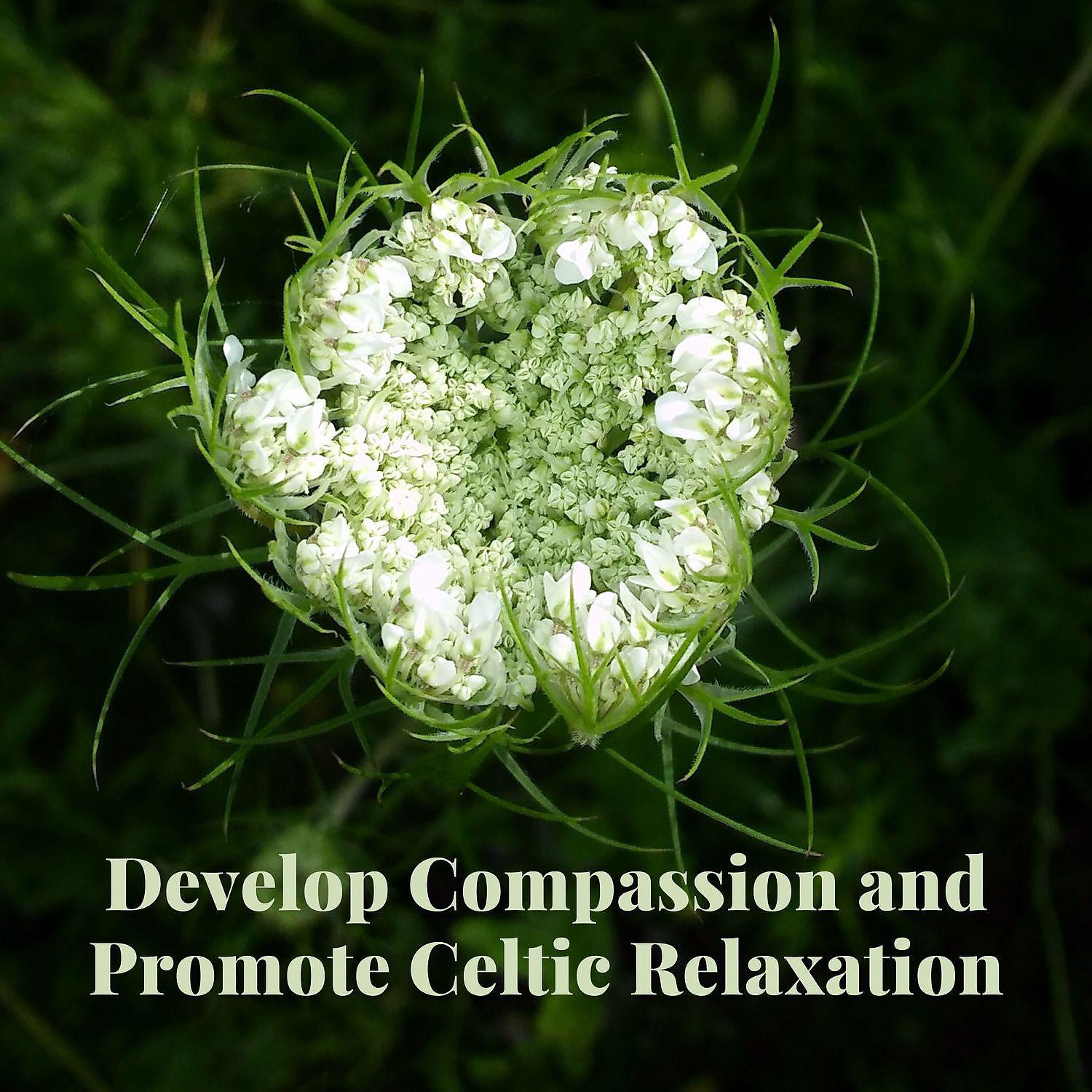Постер альбома Develop Compassion and Promote Celtic Relaxation