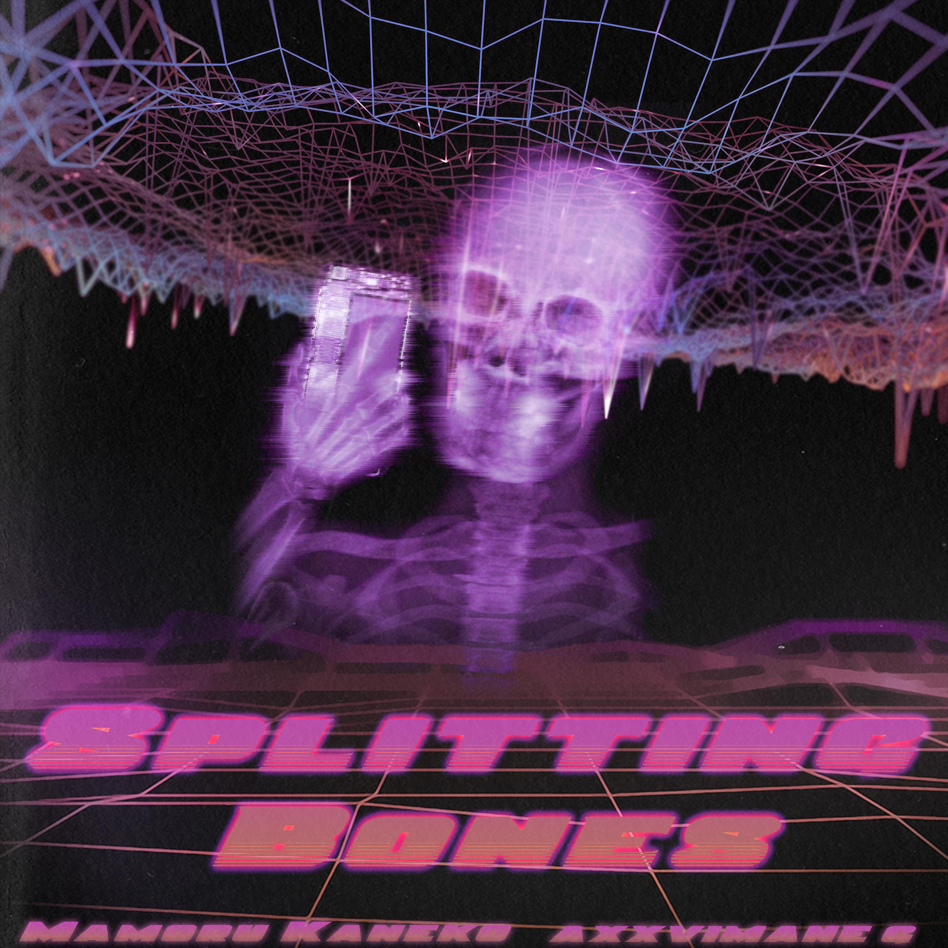 Постер альбома Splitting Bones