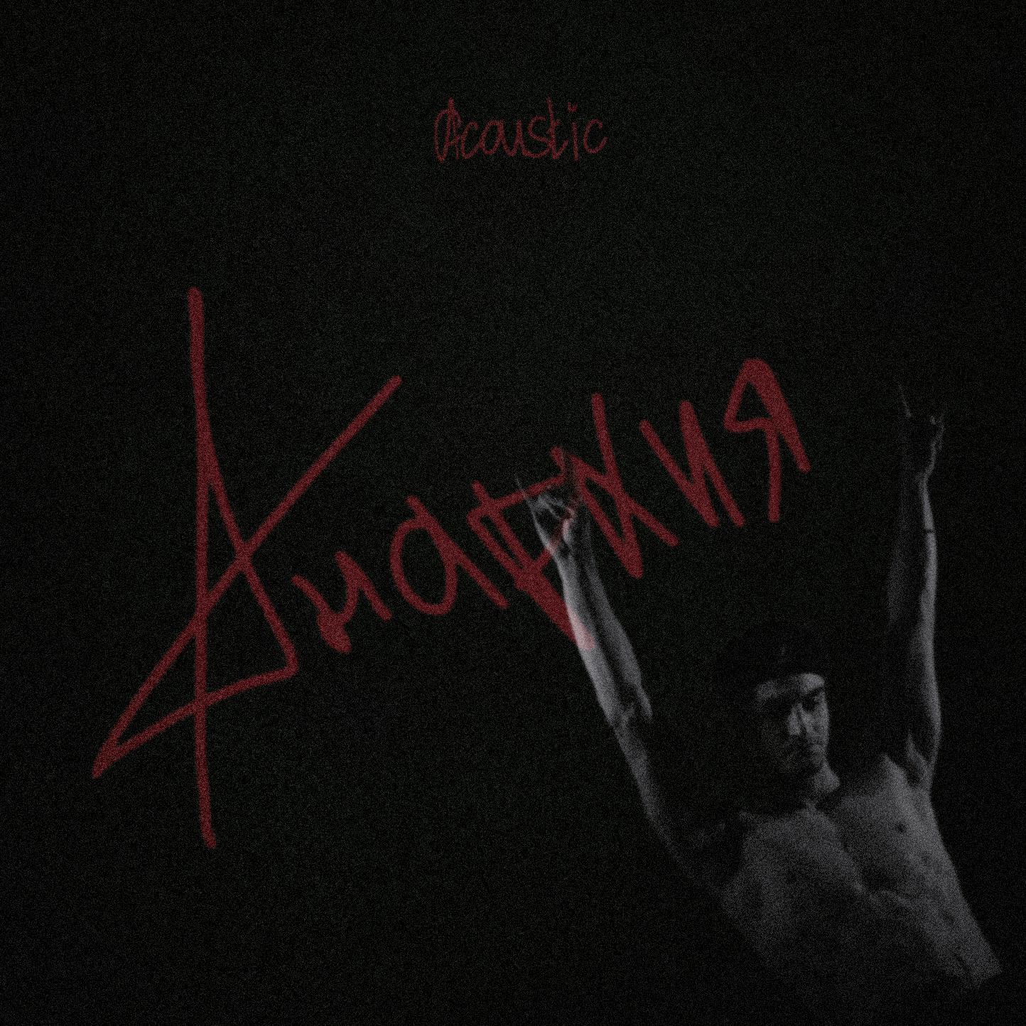 Постер альбома Анархия (Acoustic)