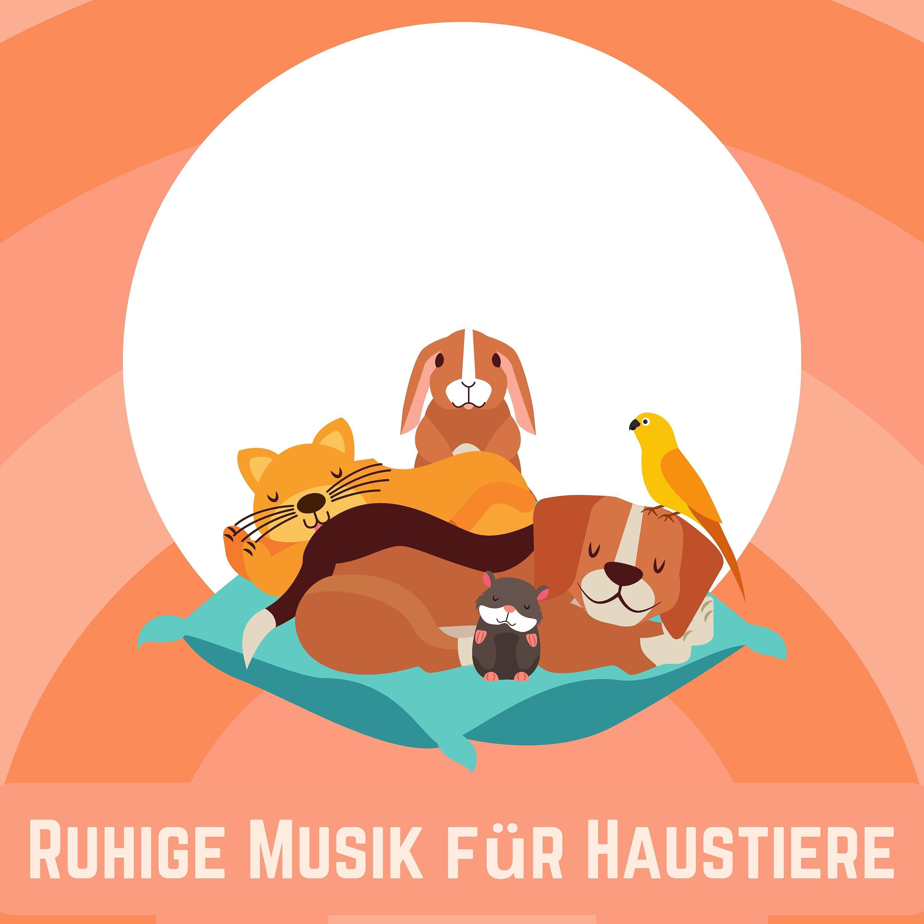 Постер альбома Ruhige Musik für Haustiere