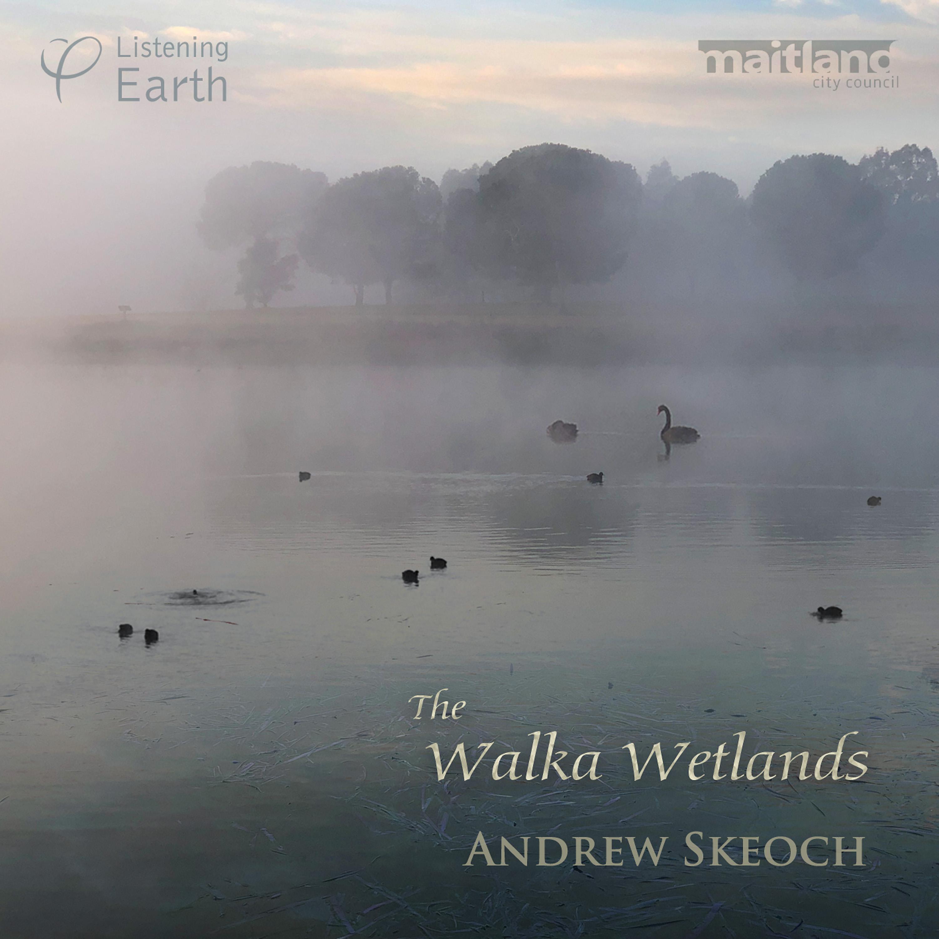 Постер альбома The Walka Wetlands