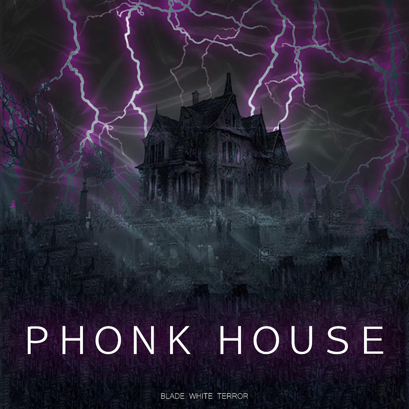Постер альбома Phonk House