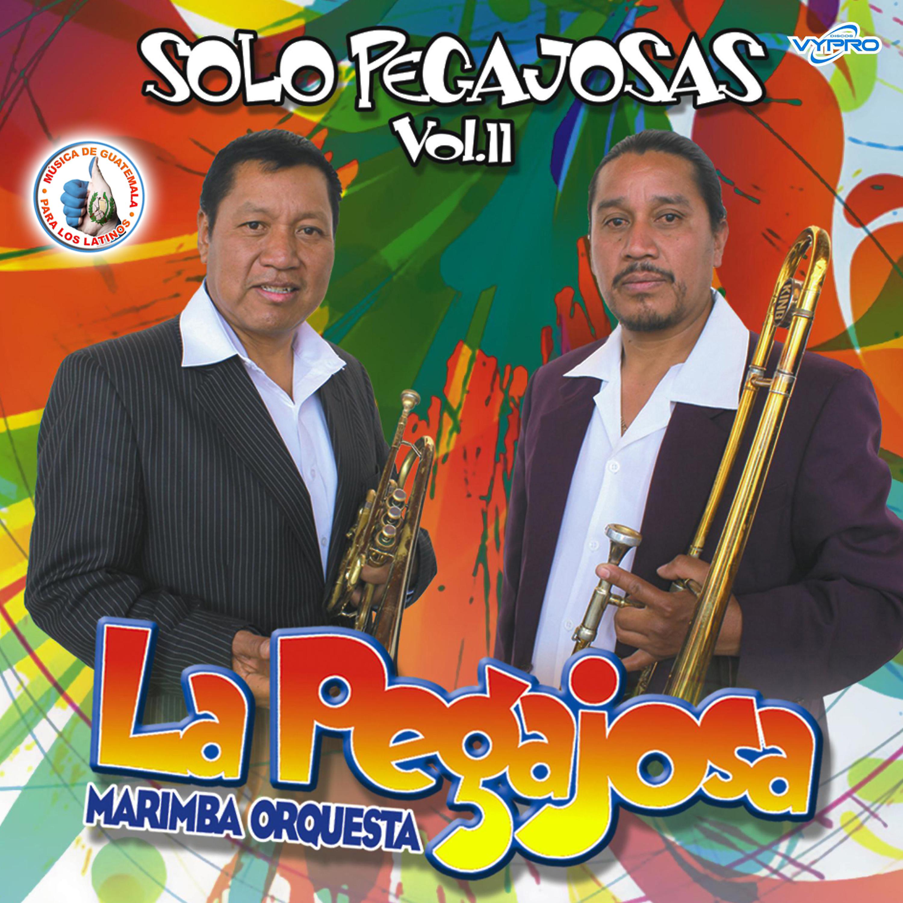 Постер альбома Solo Pegajosas Vol. 11. Música de Guatemala para los Latinos