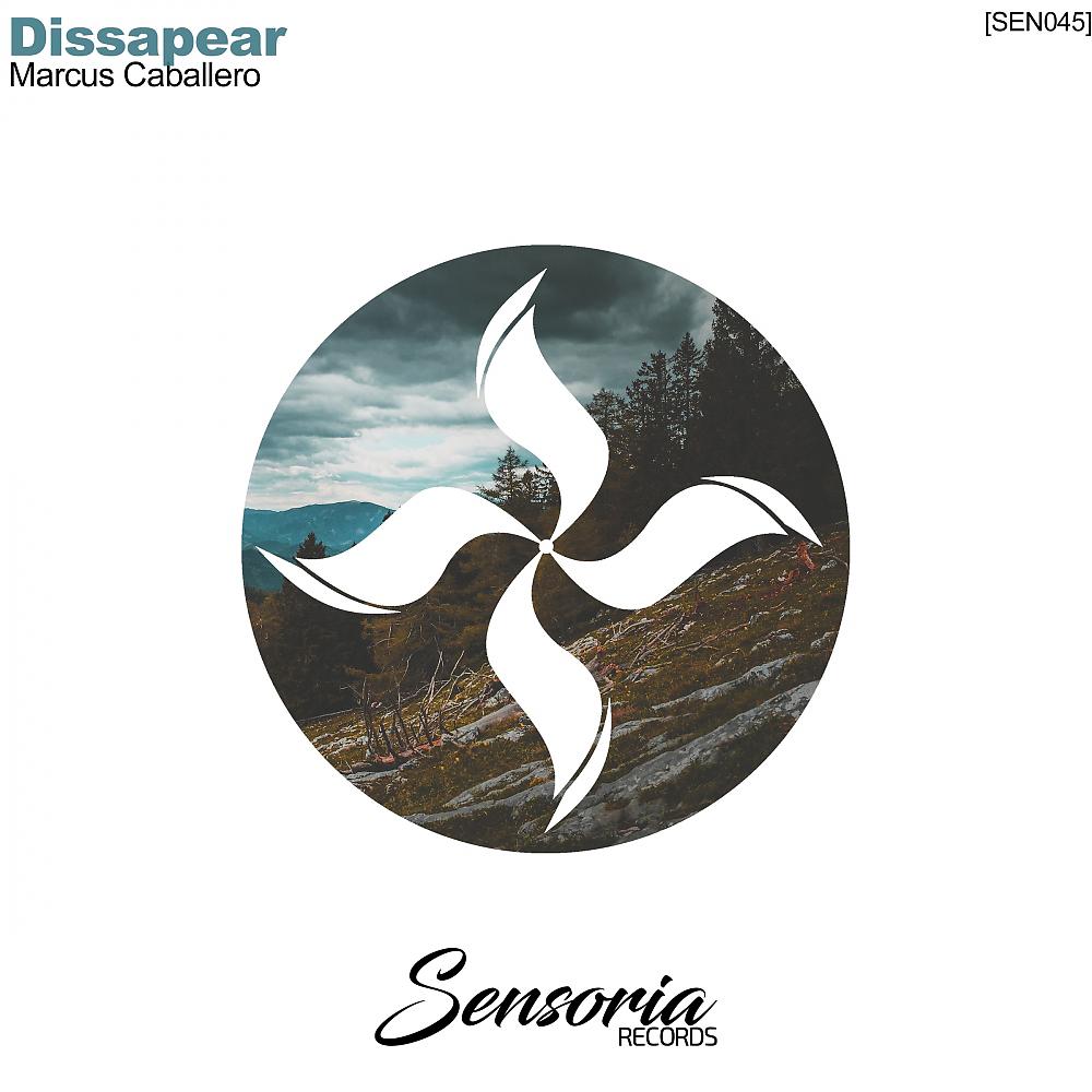 Постер альбома Dissapear