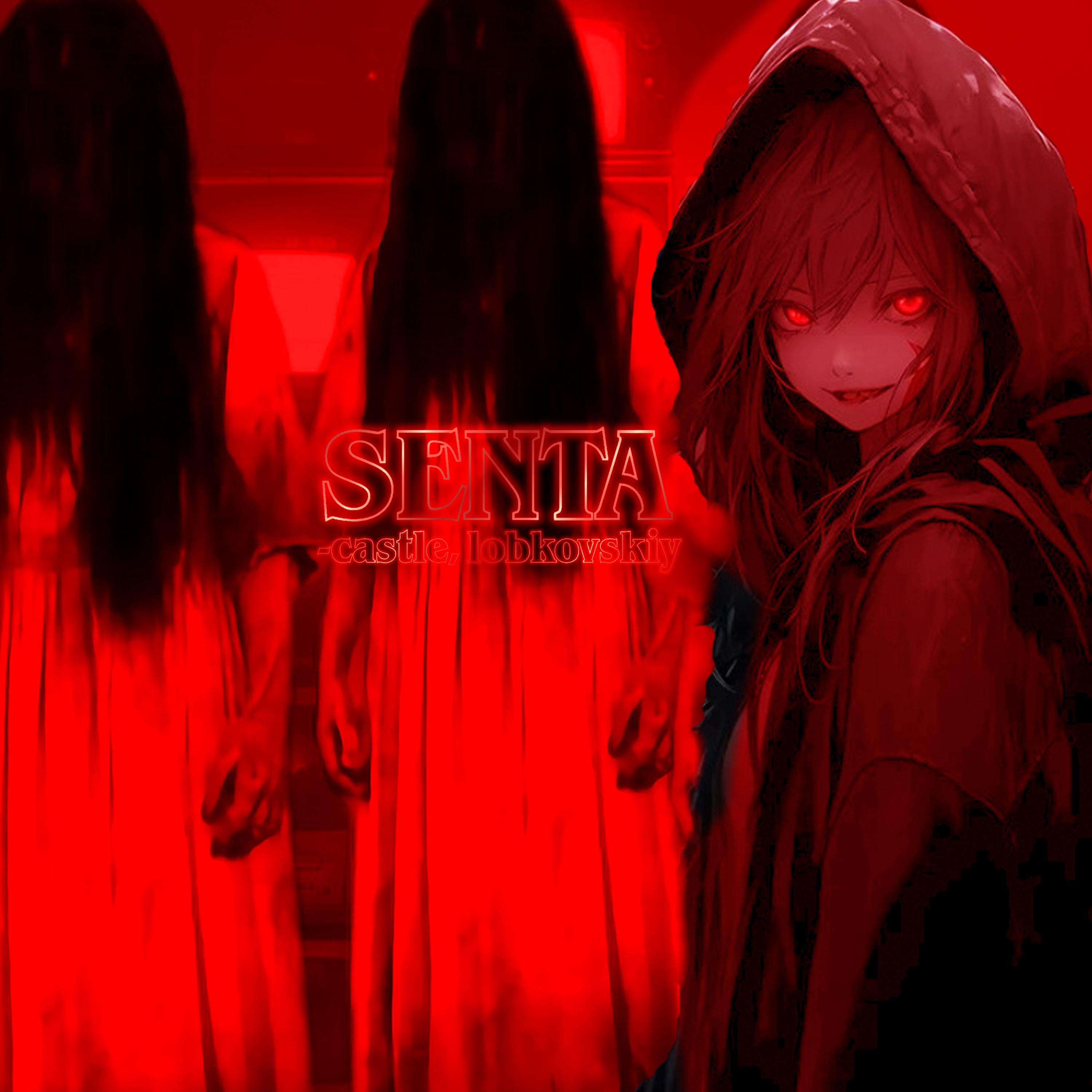 Постер альбома Senta