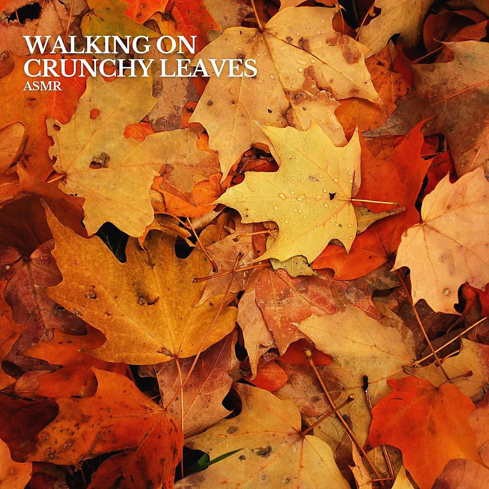Постер альбома Walking on Crunchy Leaves Asmr