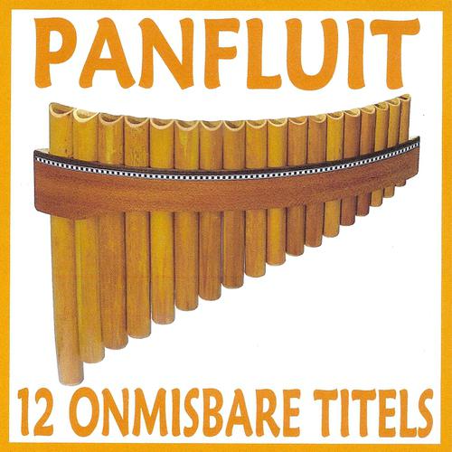 Постер альбома Panfluit - 12 onmisbare titels
