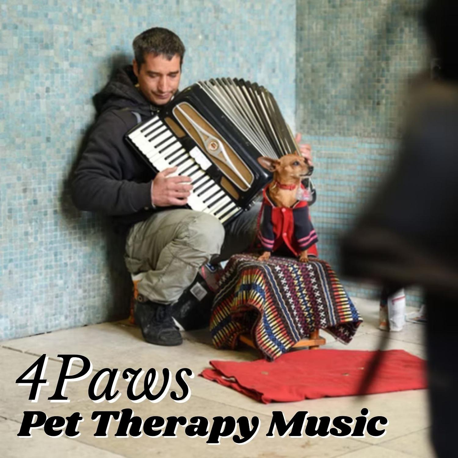 Постер альбома 4Paws: Pet Therapy Music