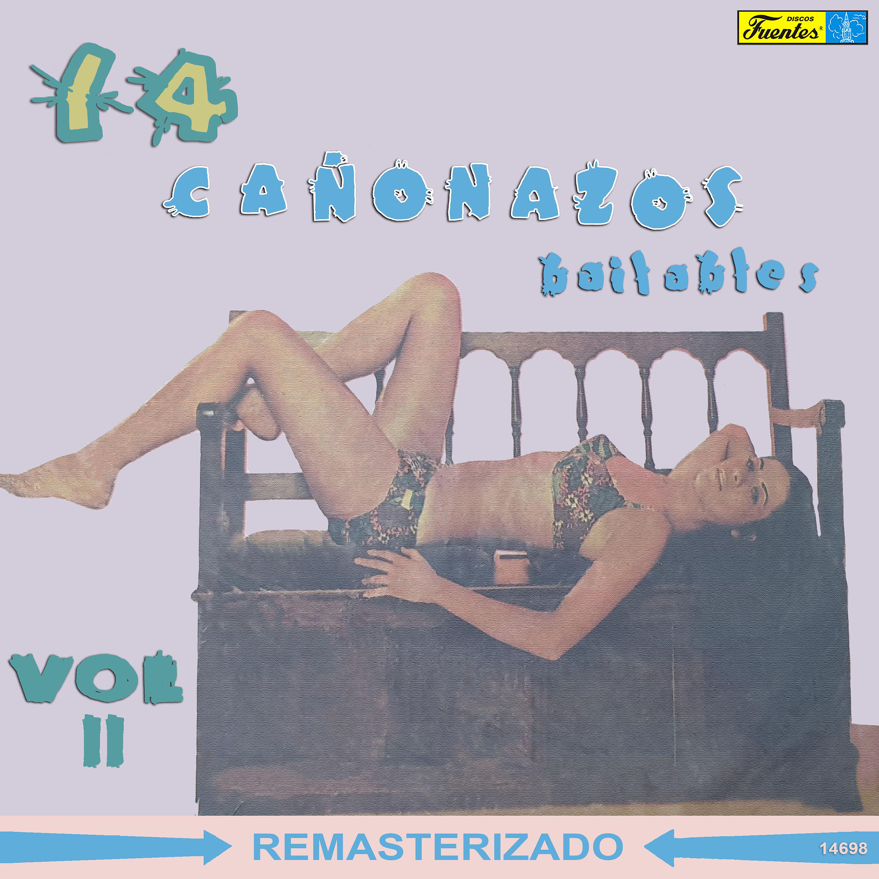 Постер альбома 14 Cañonazos Bailables, Vol. 11