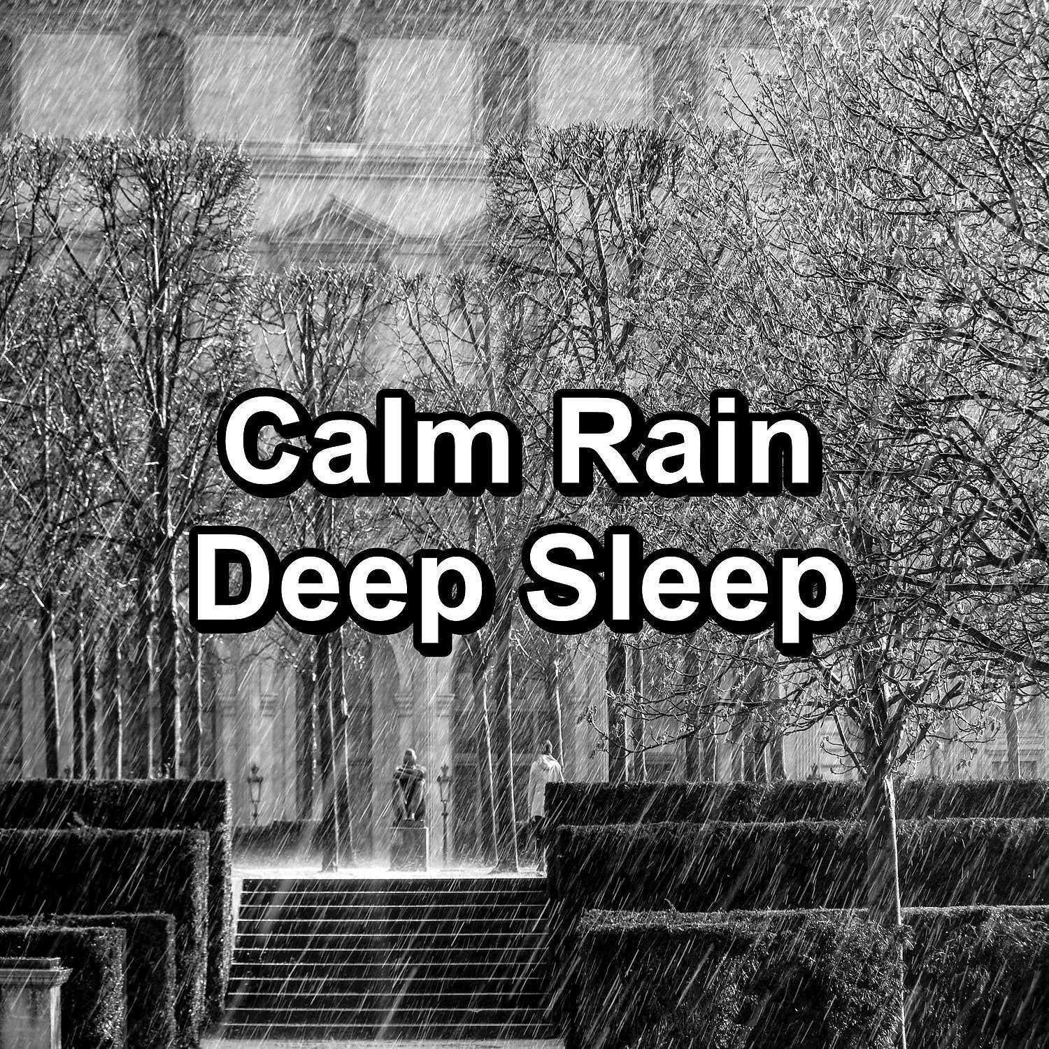 Постер альбома Calm Rain Deep Sleep