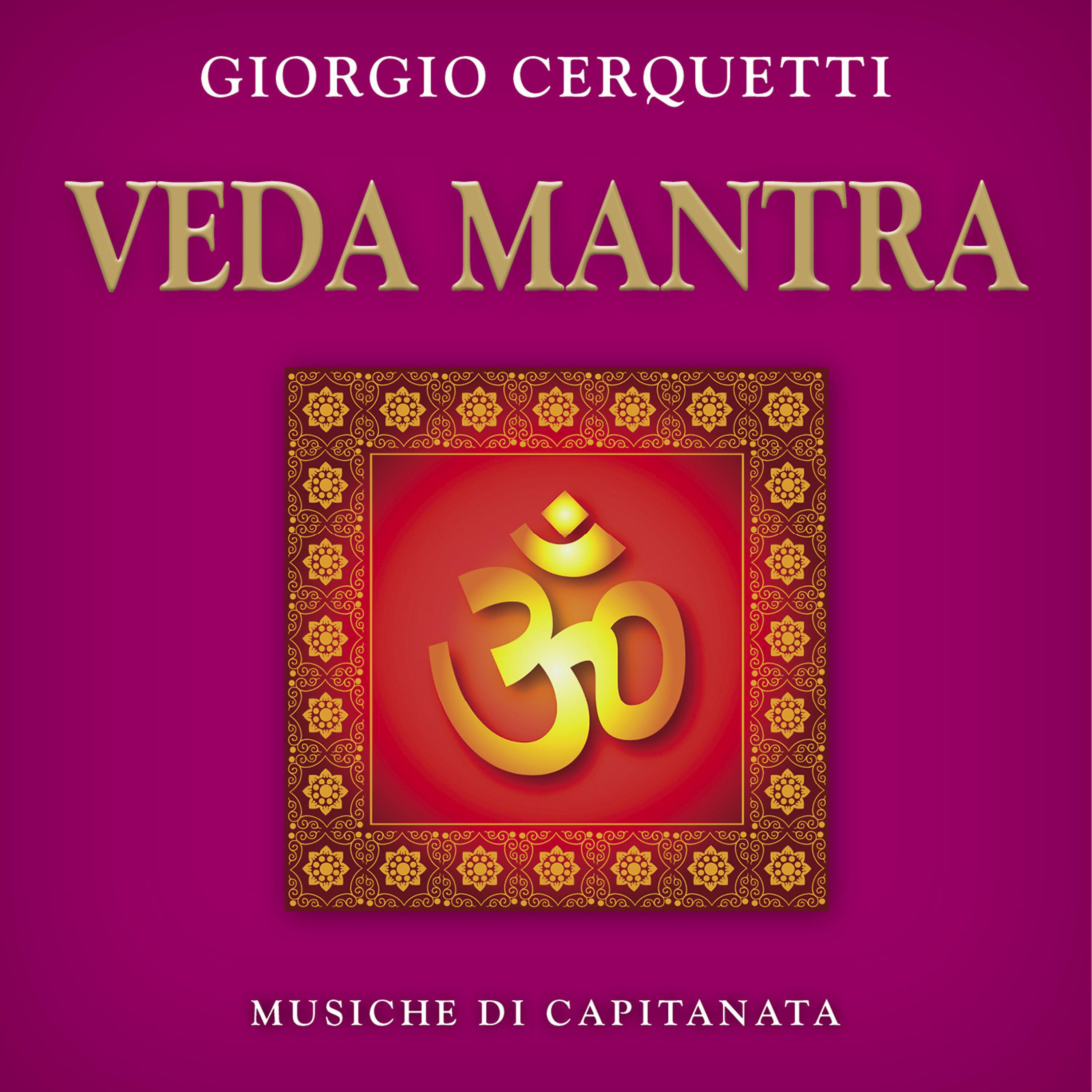 Постер альбома Veda Mantra: The Power of Deva Mantra