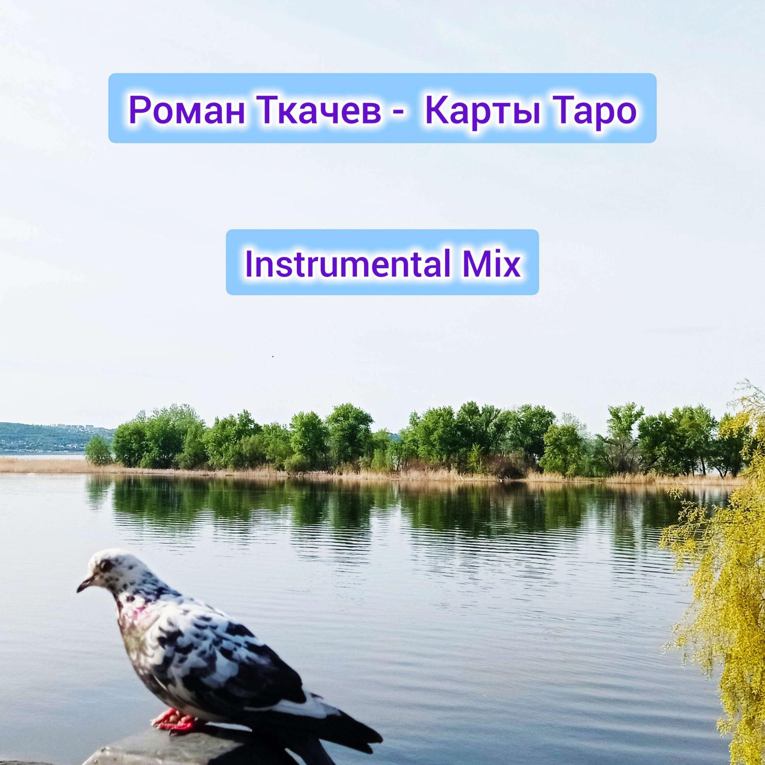 Постер альбома Карты Таро (Instrumental Mix)