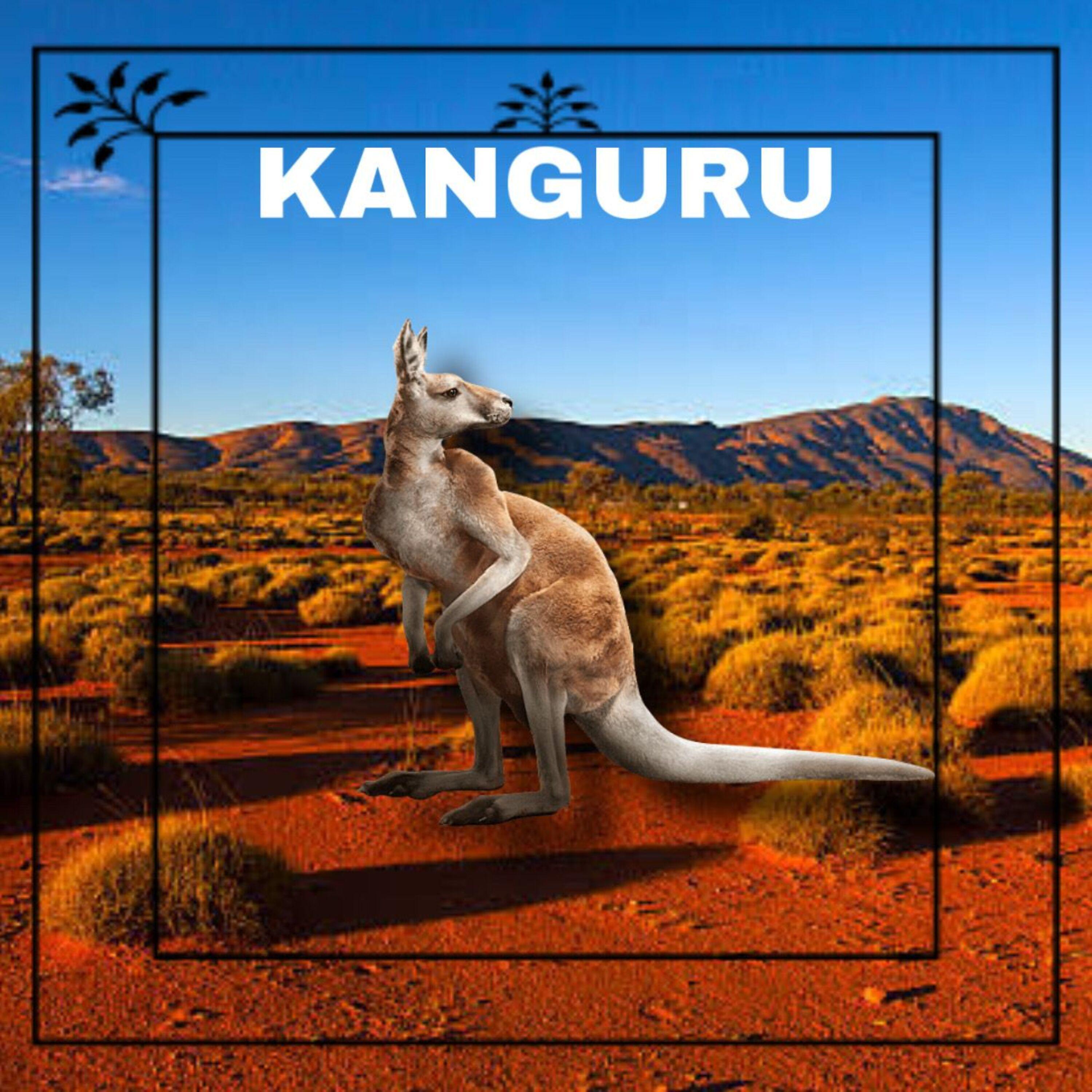 Постер альбома Kanguru