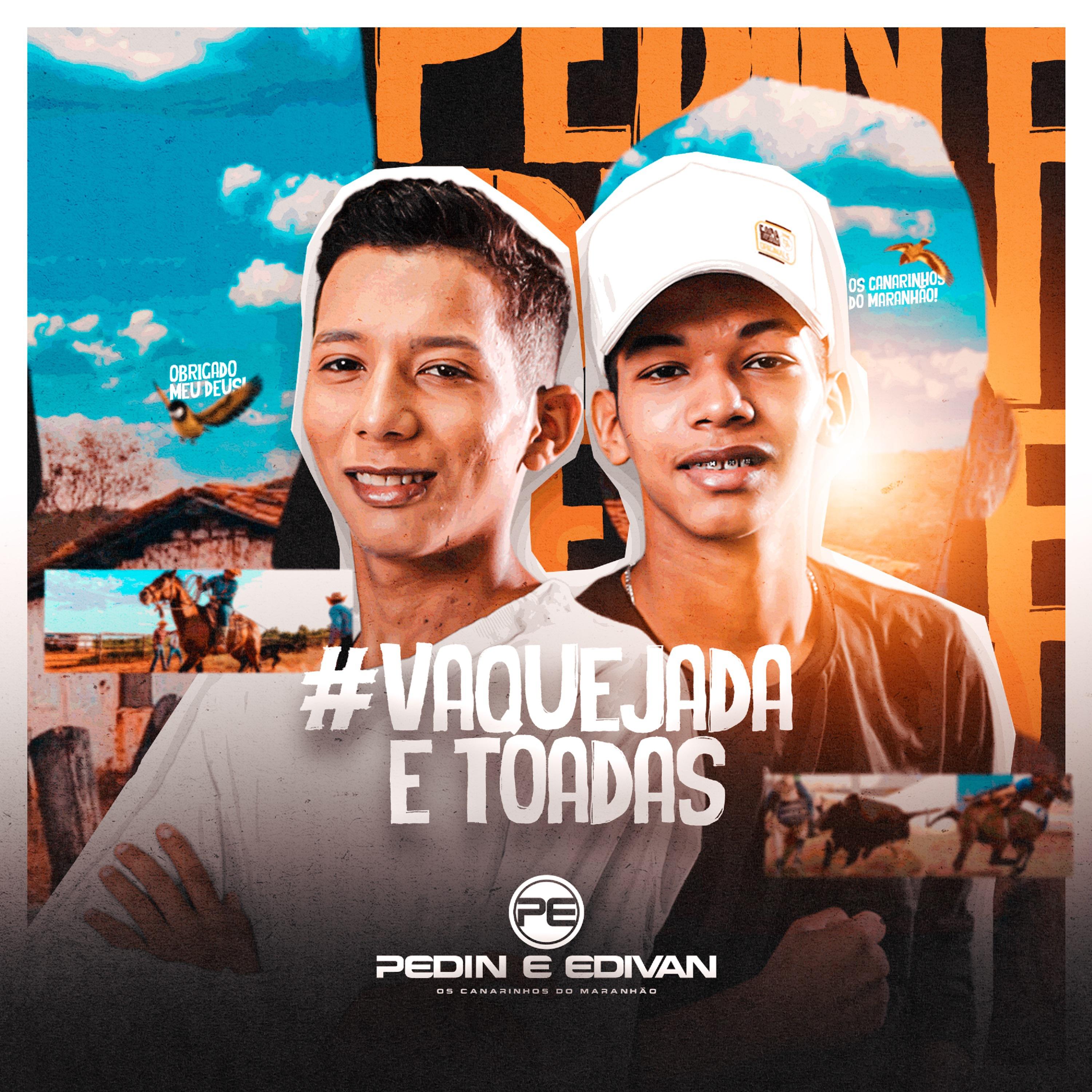 Постер альбома Vaquejada e Toadas.