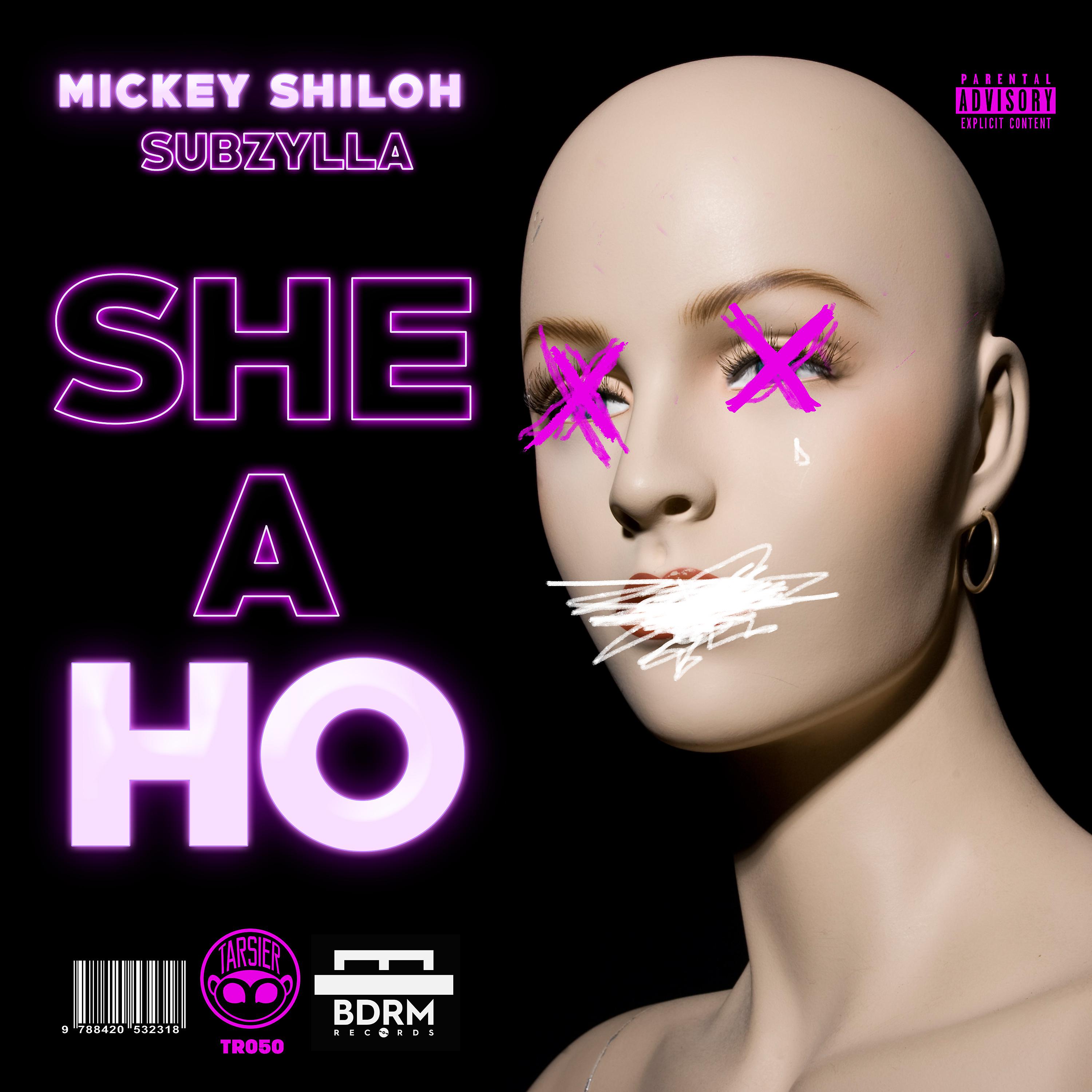 Постер альбома She a Ho