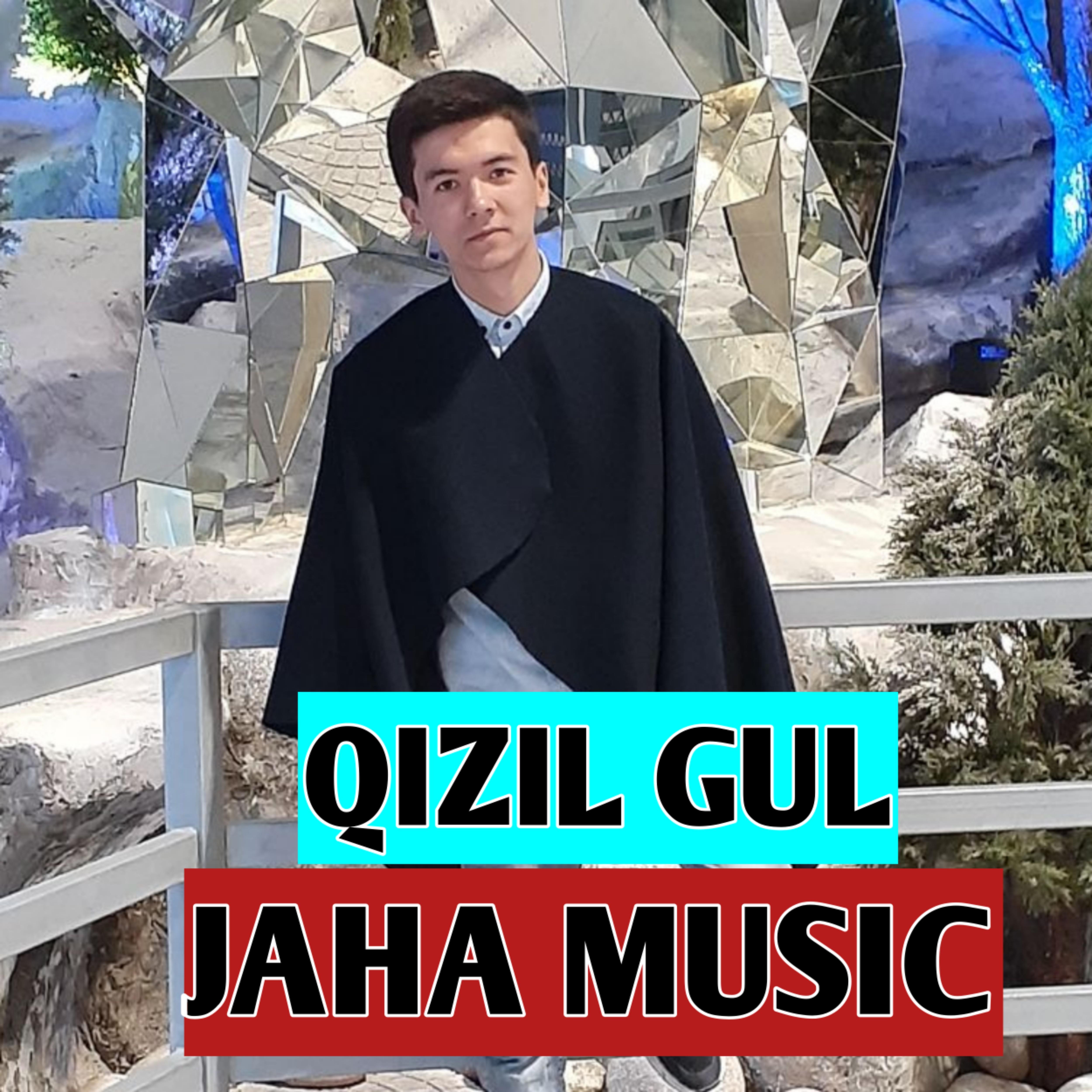 Постер альбома Qizil Gul