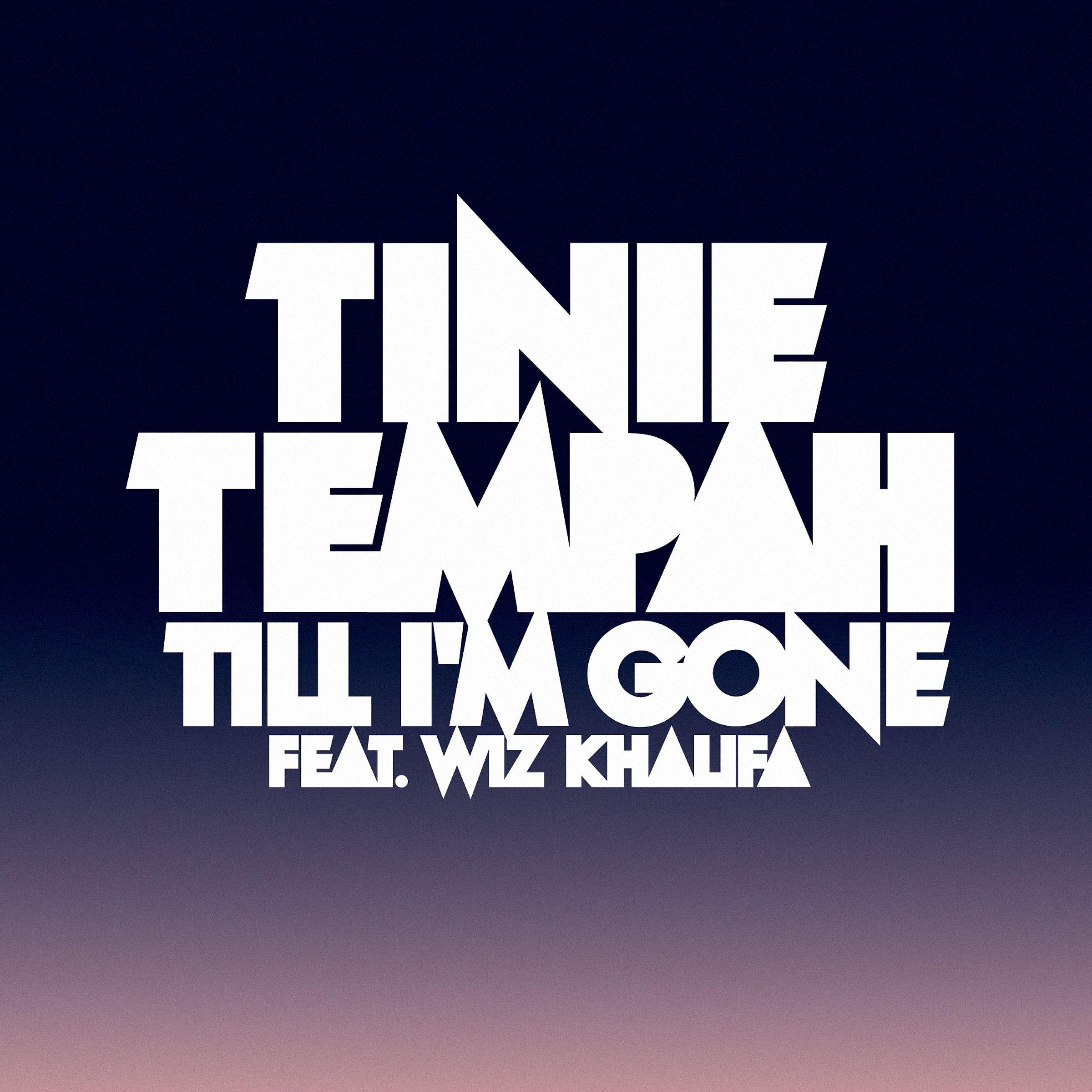 Постер альбома Till I'm Gone (feat. Wiz Khalifa)