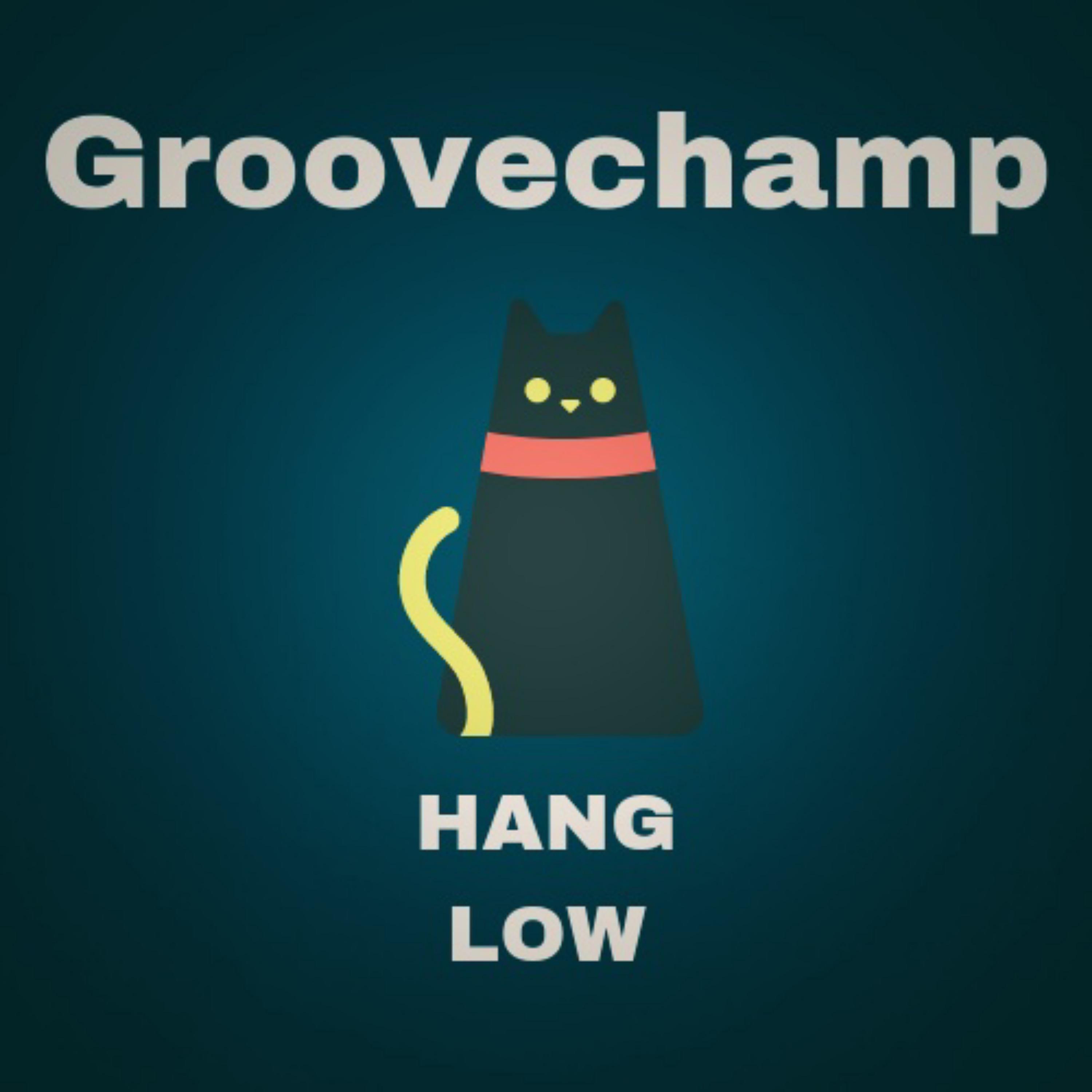 Постер альбома Hang Low
