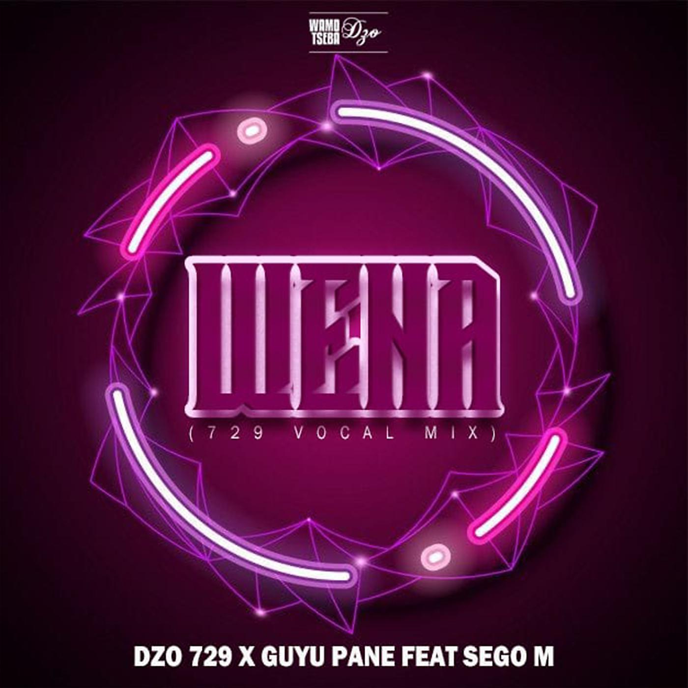Постер альбома Wena (729 Vocal Mix) [feat. Sego M]