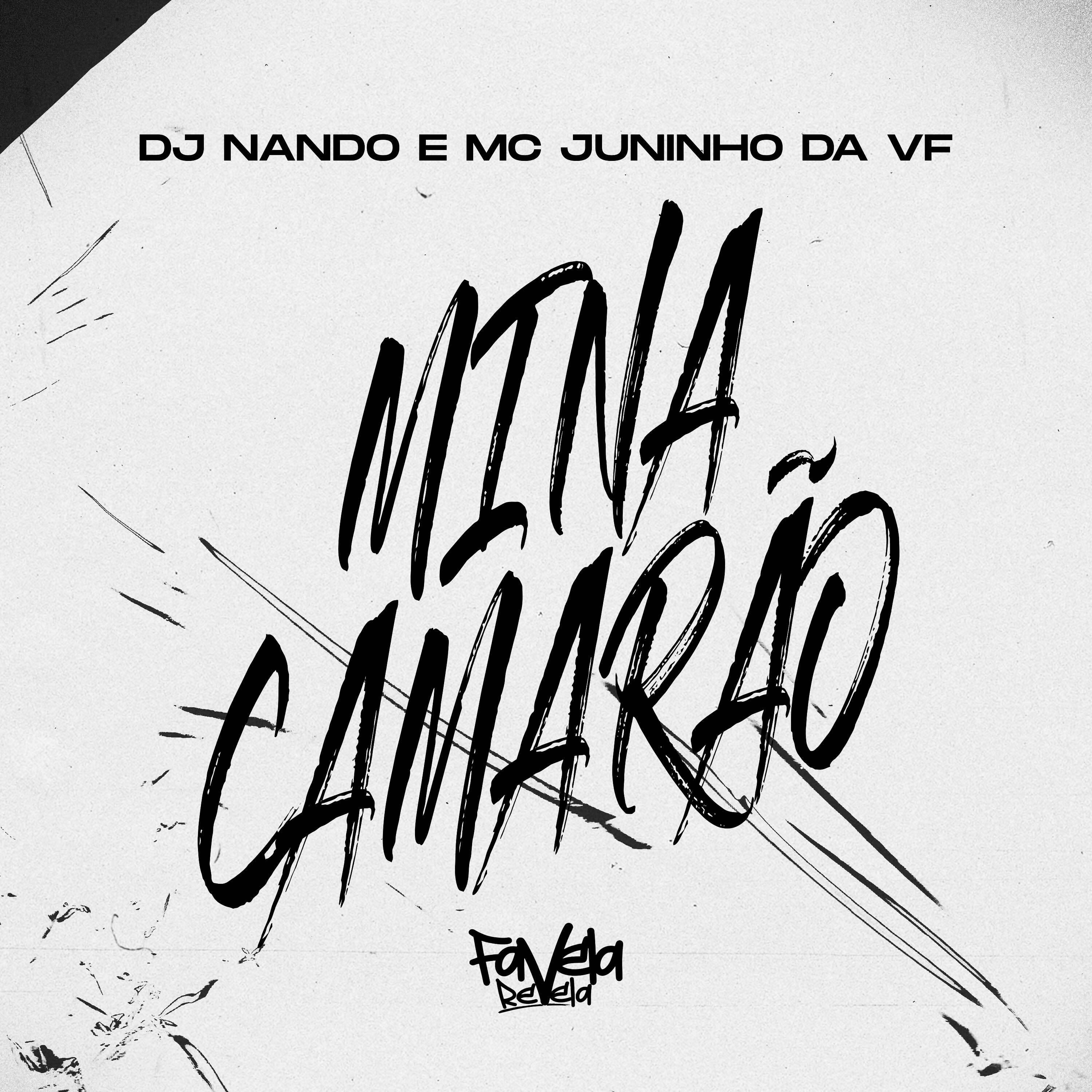 Постер альбома Mina Camarão