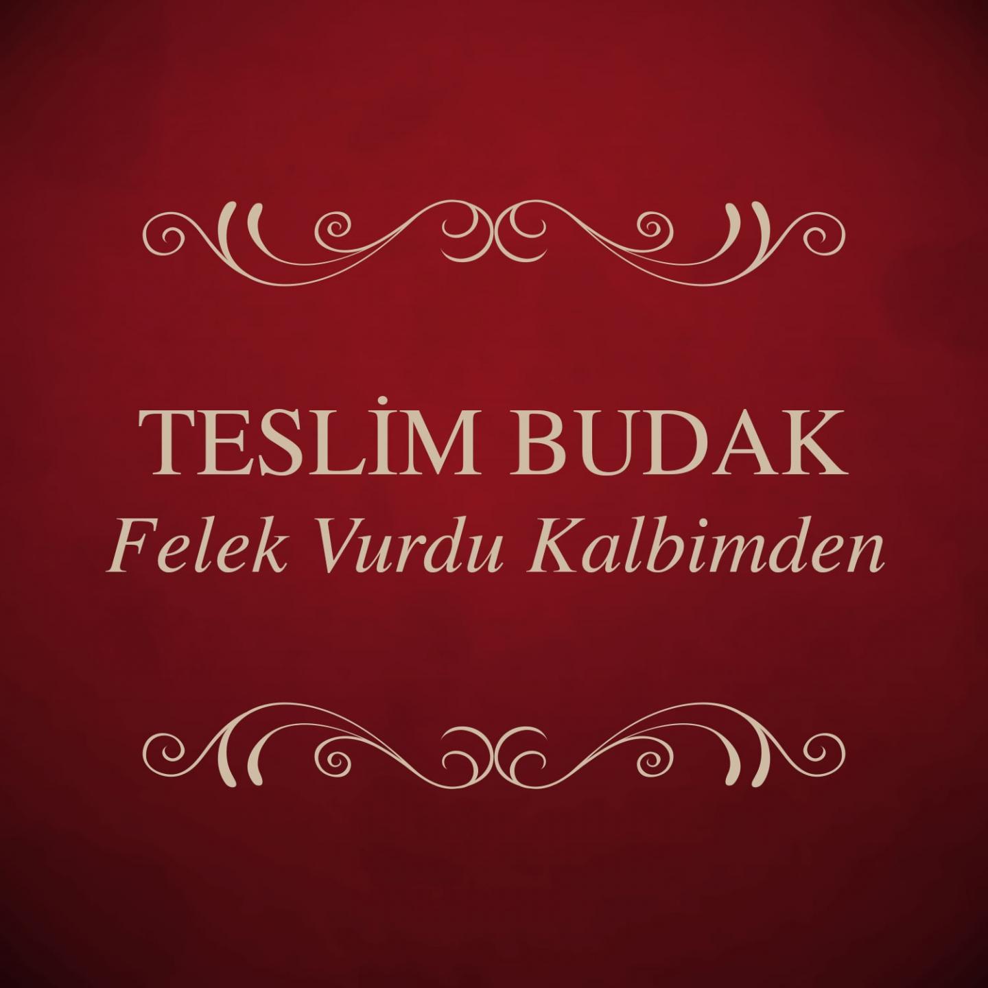 Постер альбома Felek Vurdu Kalbimden