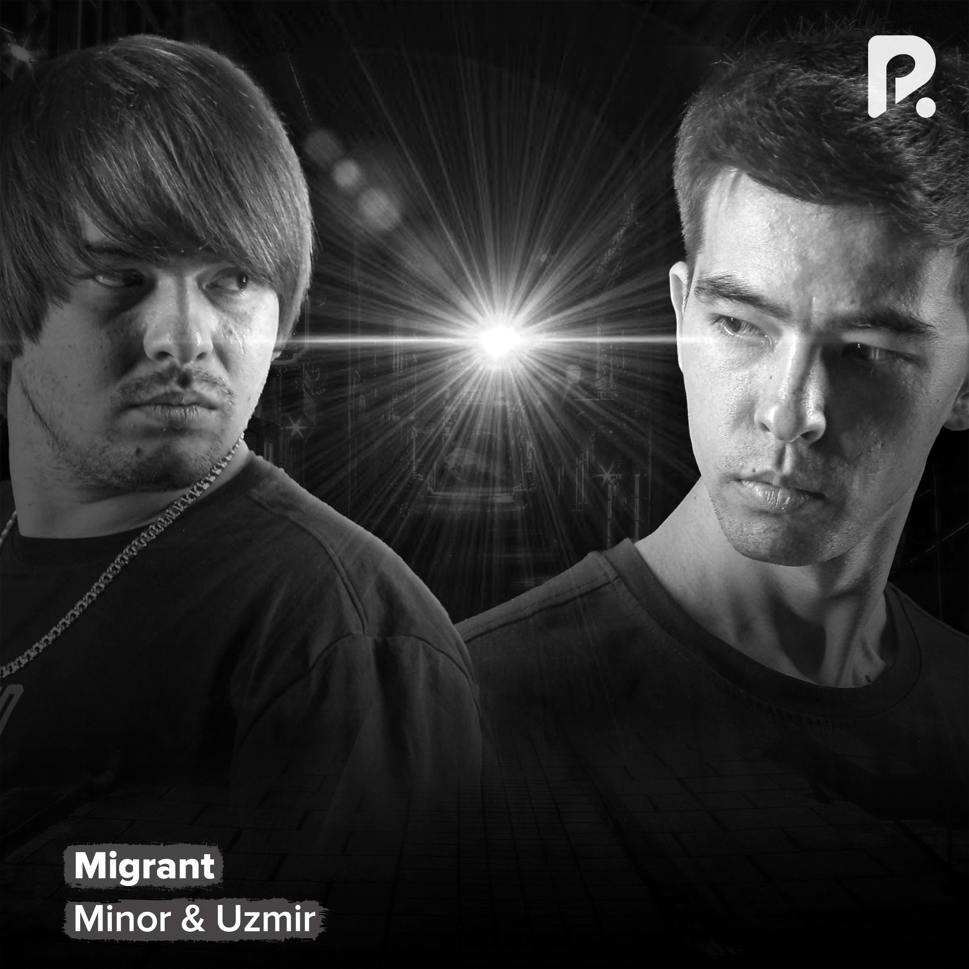 Постер альбома Migrant