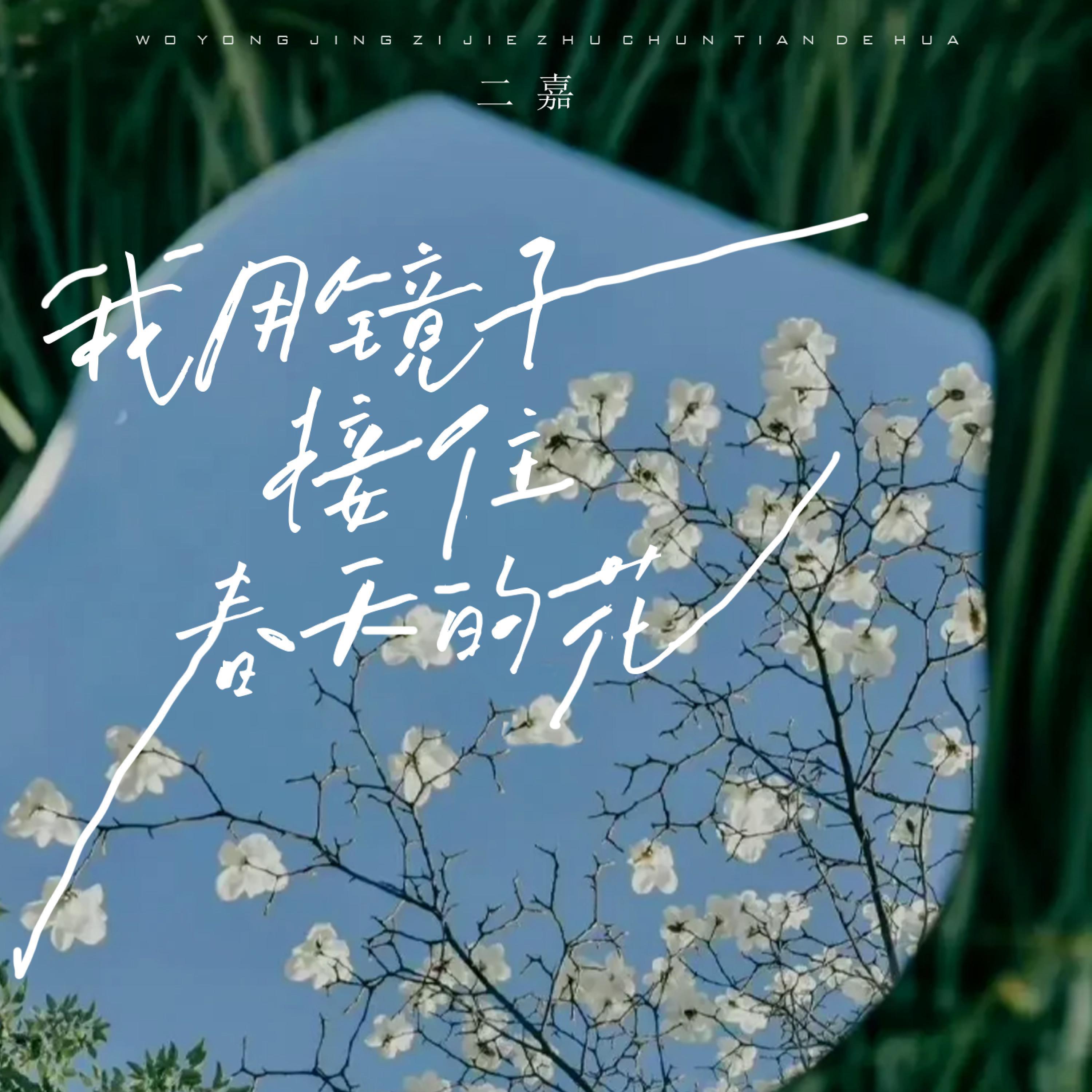 Постер альбома 用镜子接住春天的花